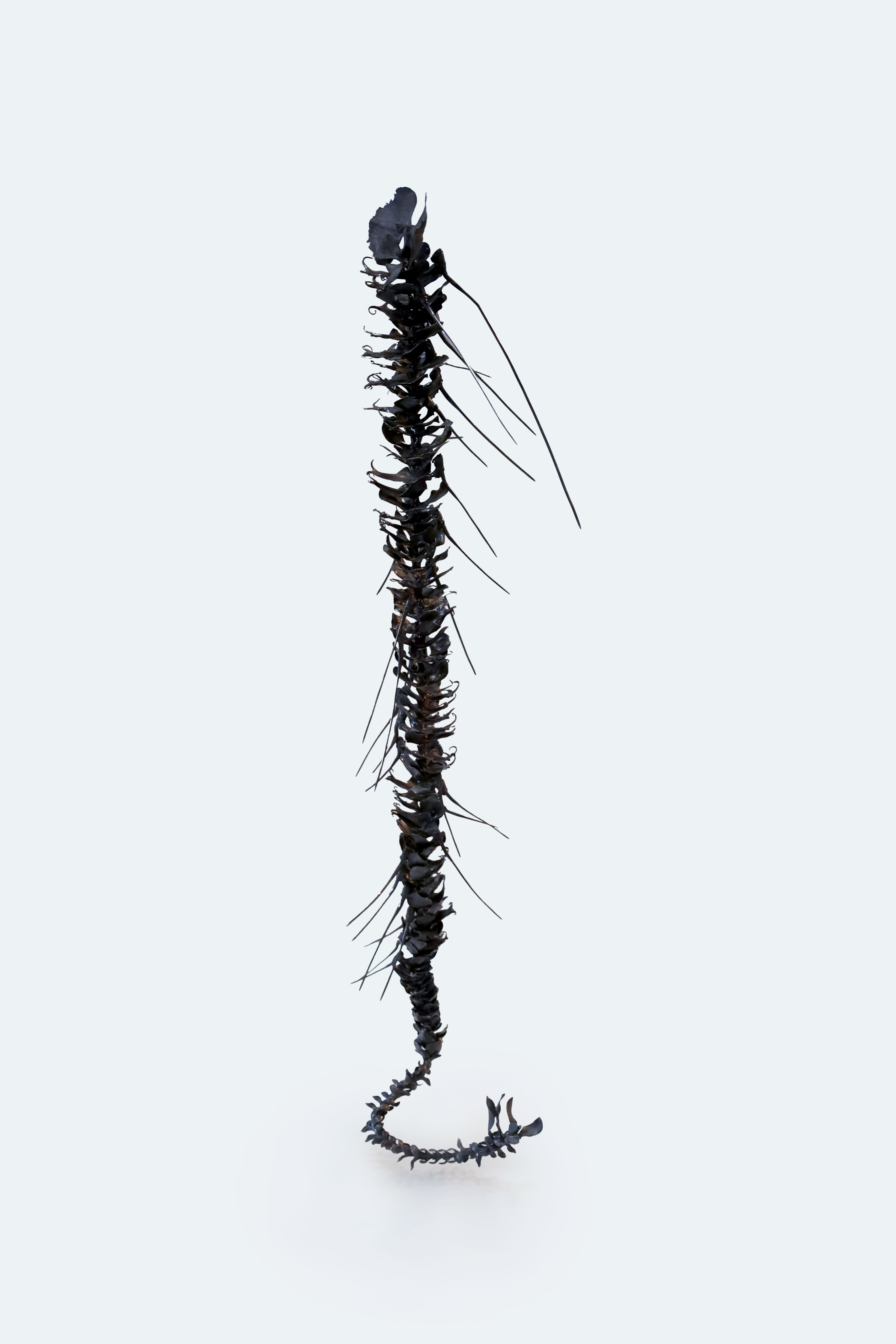 Sarah Elson, Lament of the Labellum, Recycled silver, 2016-2019.