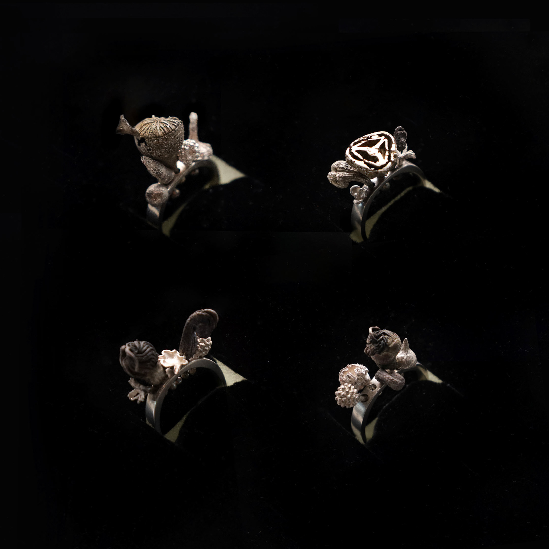 Sarah Elson, Things on Rings