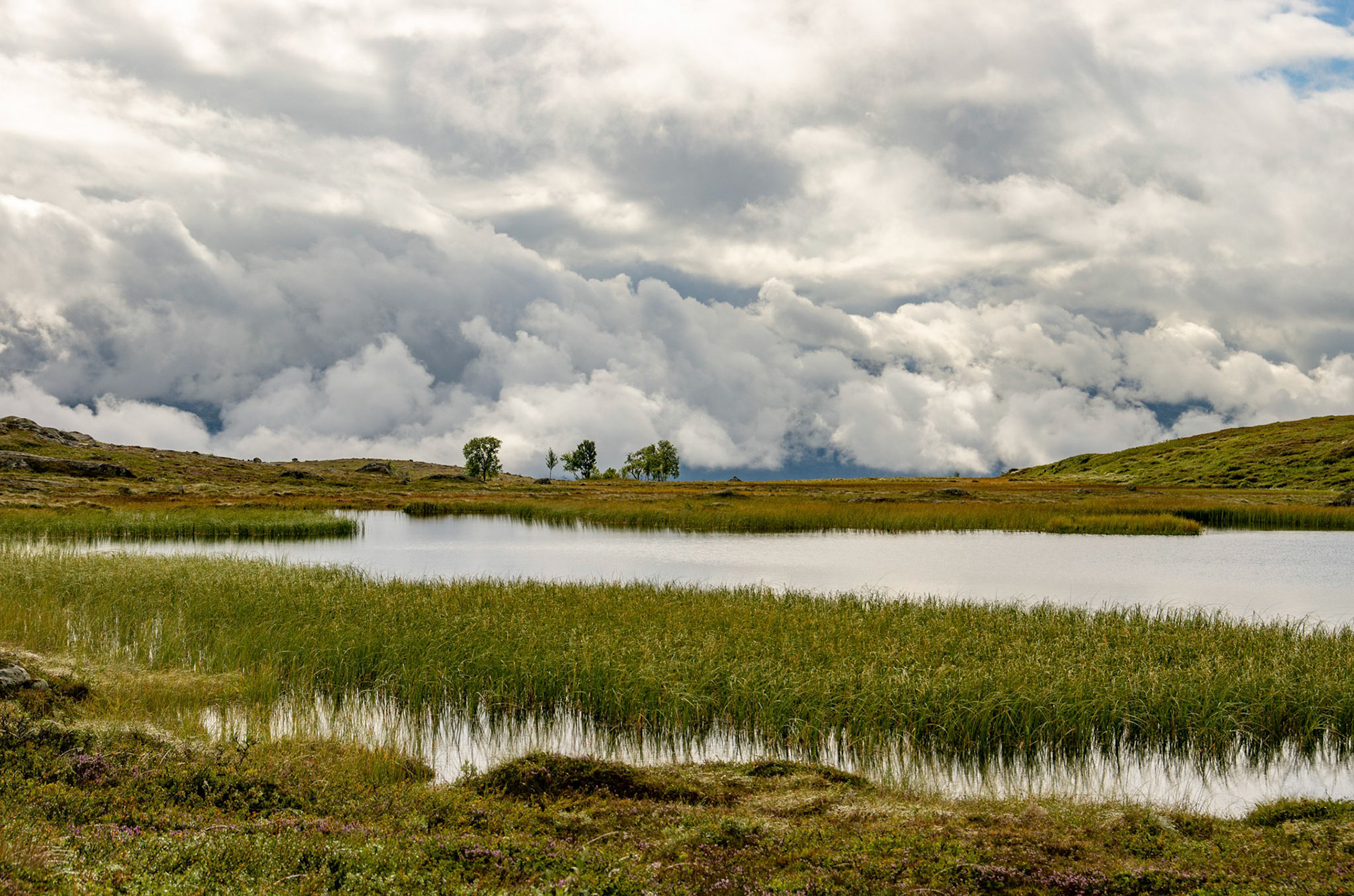 Kvernbekktjønna i Oppdal