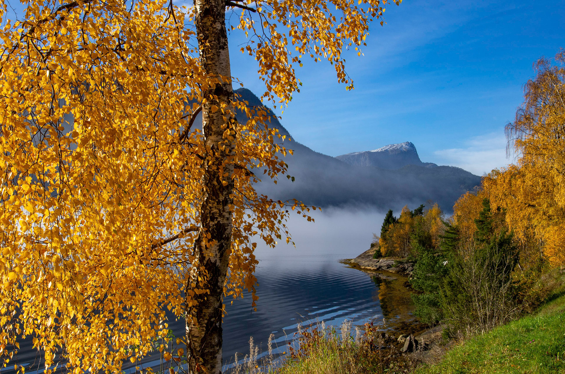Gloppefjorden og Hyeneshesten