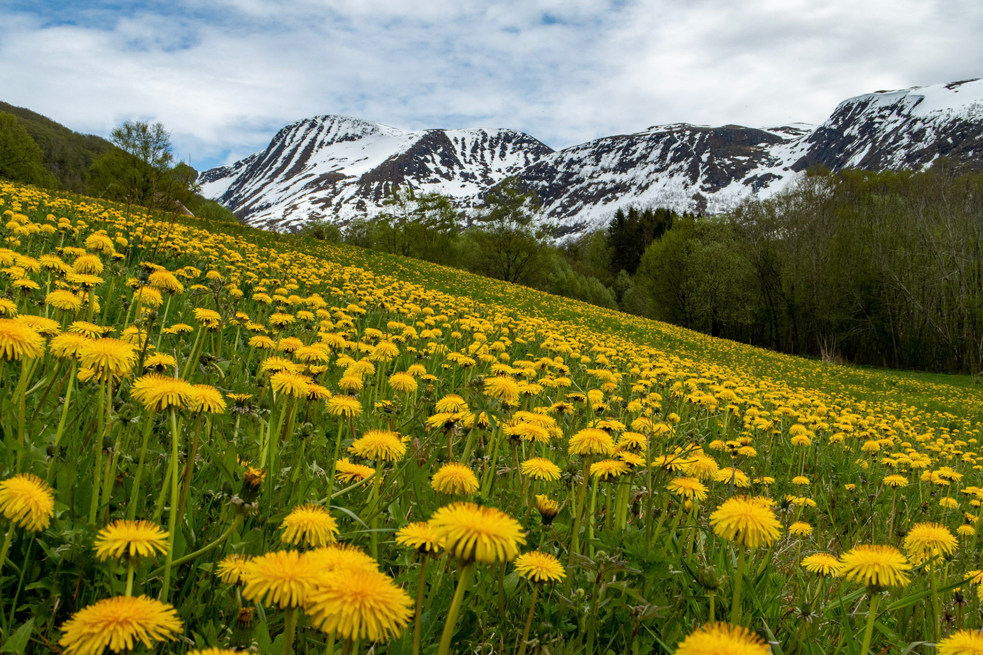 Sylteosen i Hustadvika, Kalbakjin (Urfjellet) i bakgrunnen