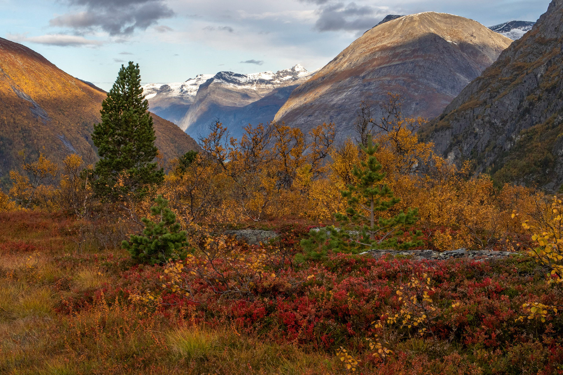 Sunndalen fra Gjørashaugen
