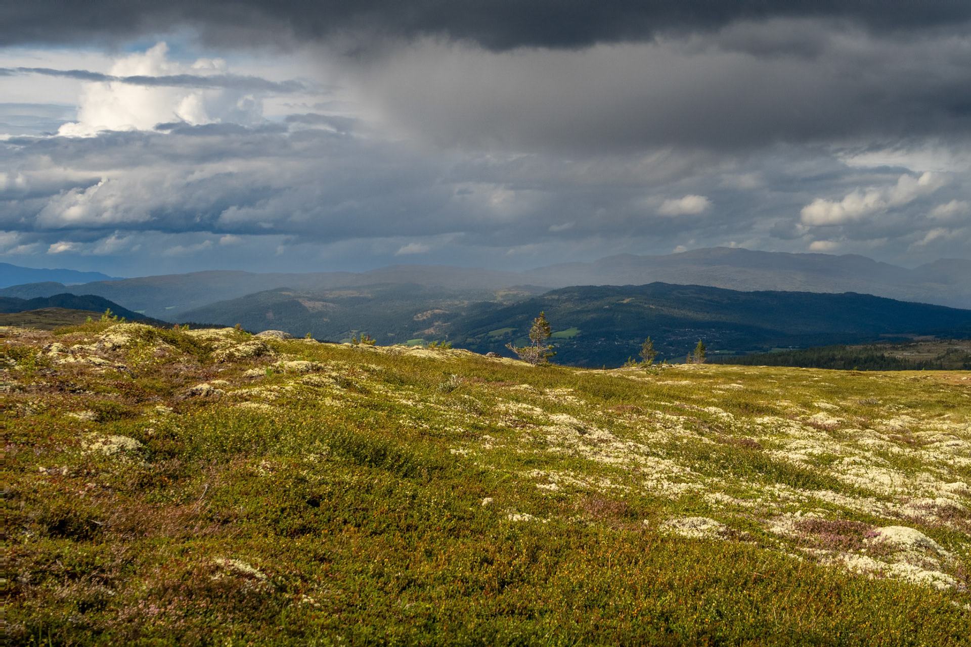 Sandfjellet mot Berkåk