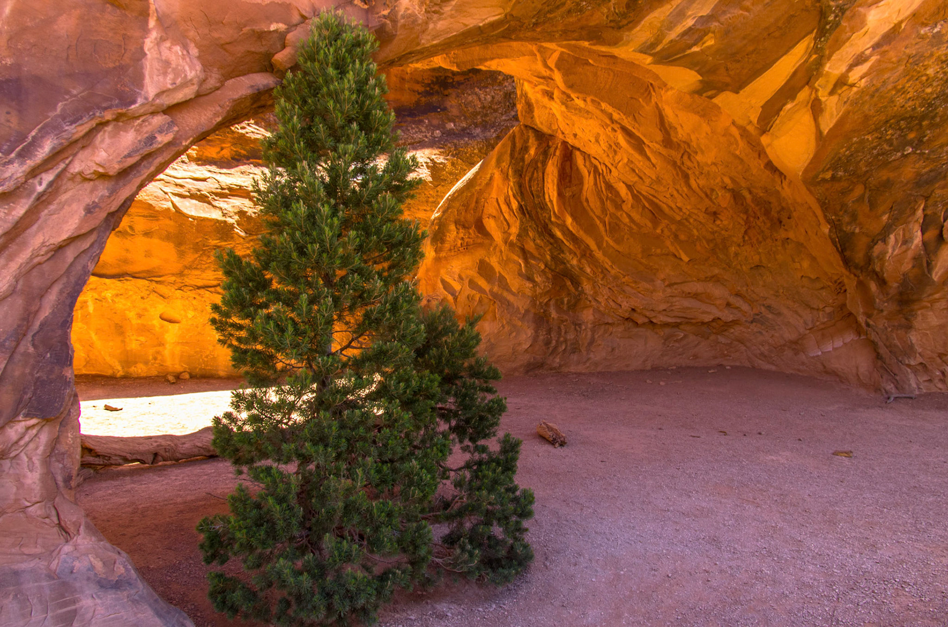 Devils garden, Arches, Utah