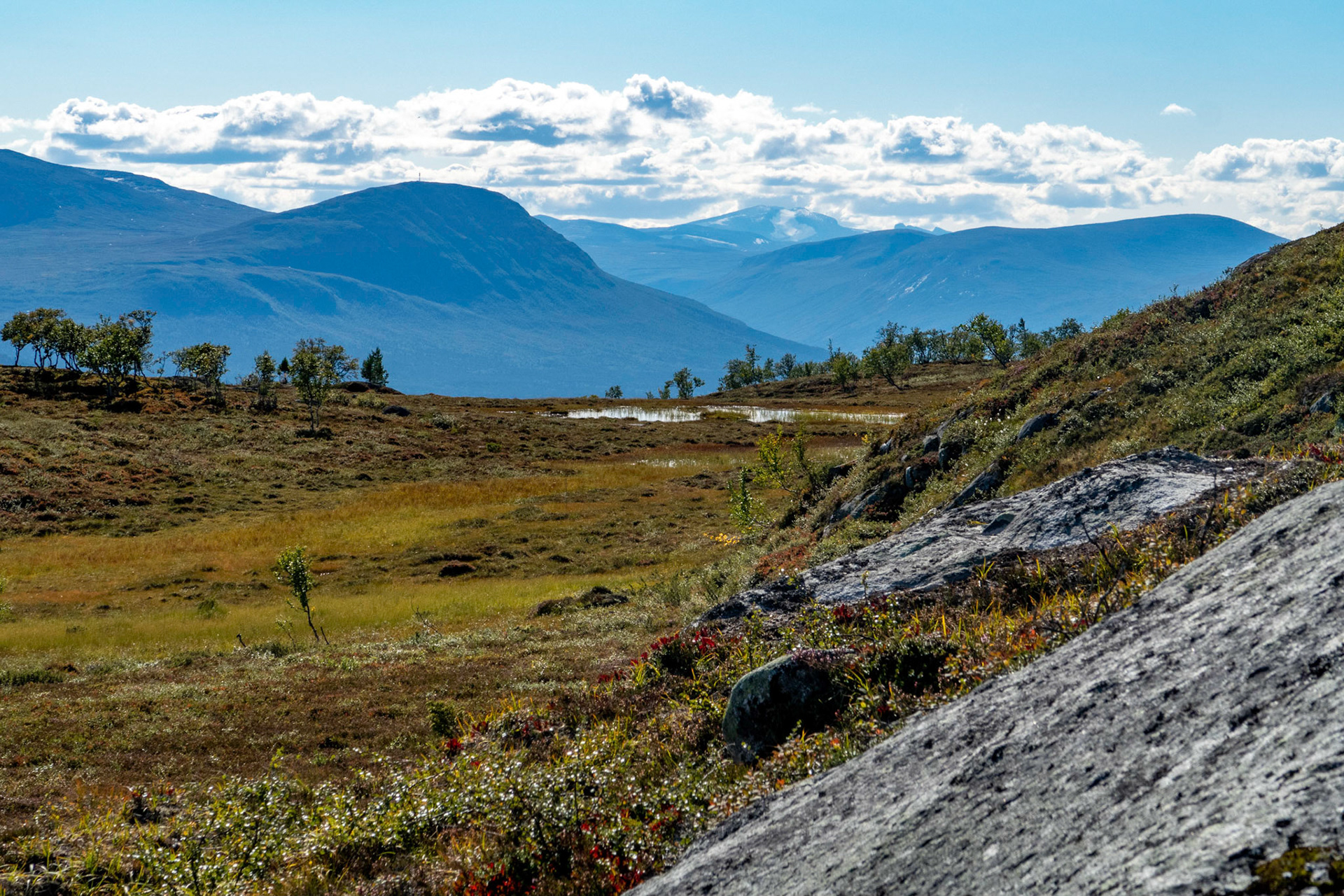 Ålmenberget og Snøhetta fra Vora i Oppdal