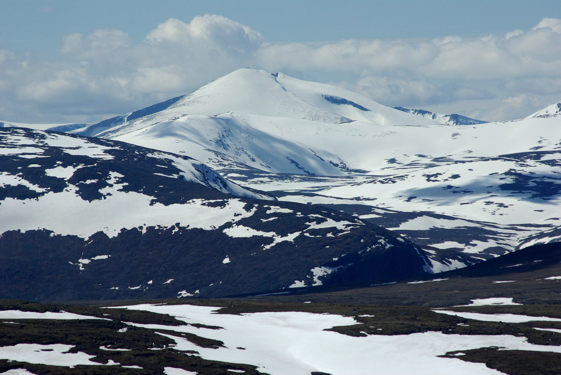 Fra Elgsjøtangen i juni