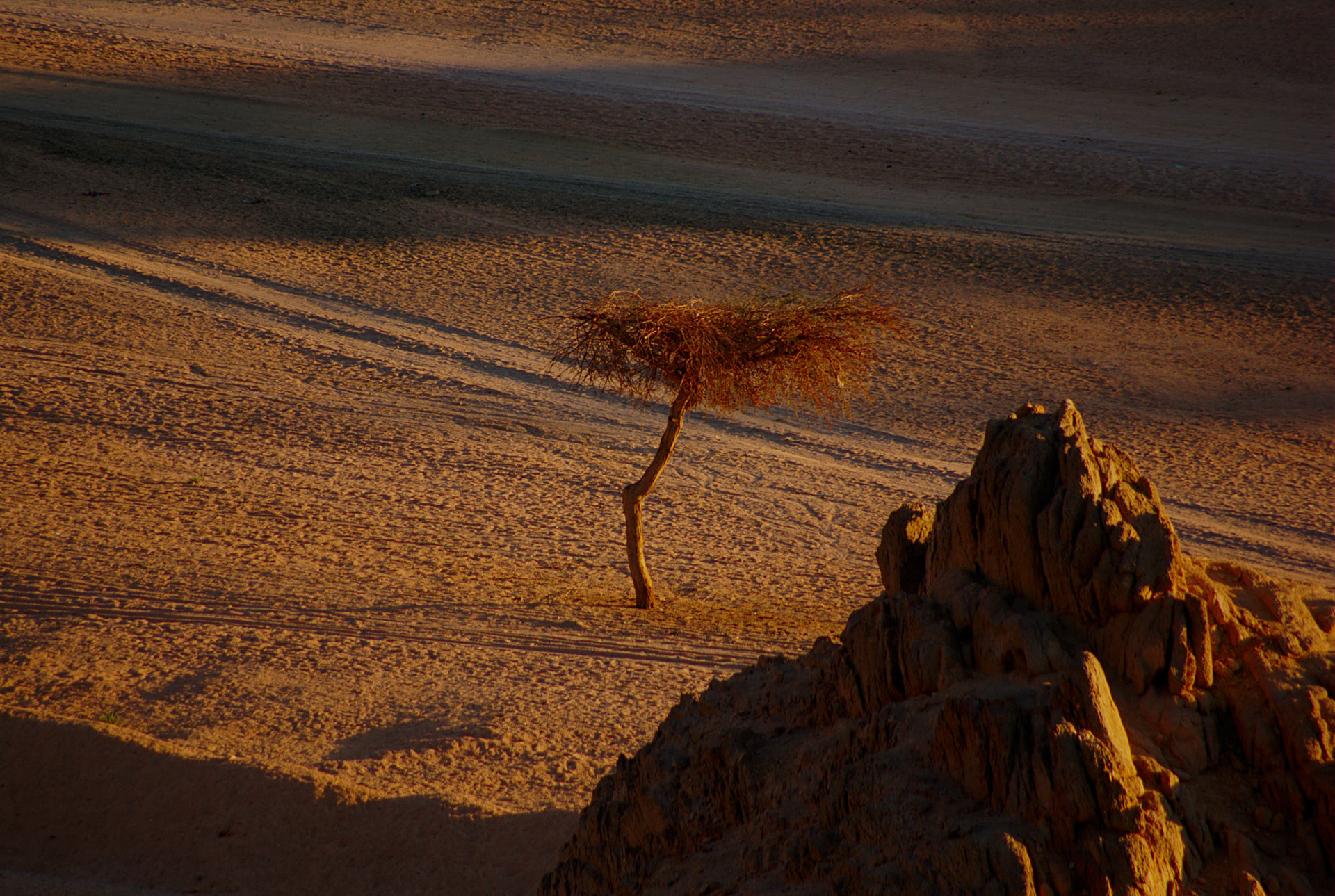 Sinai