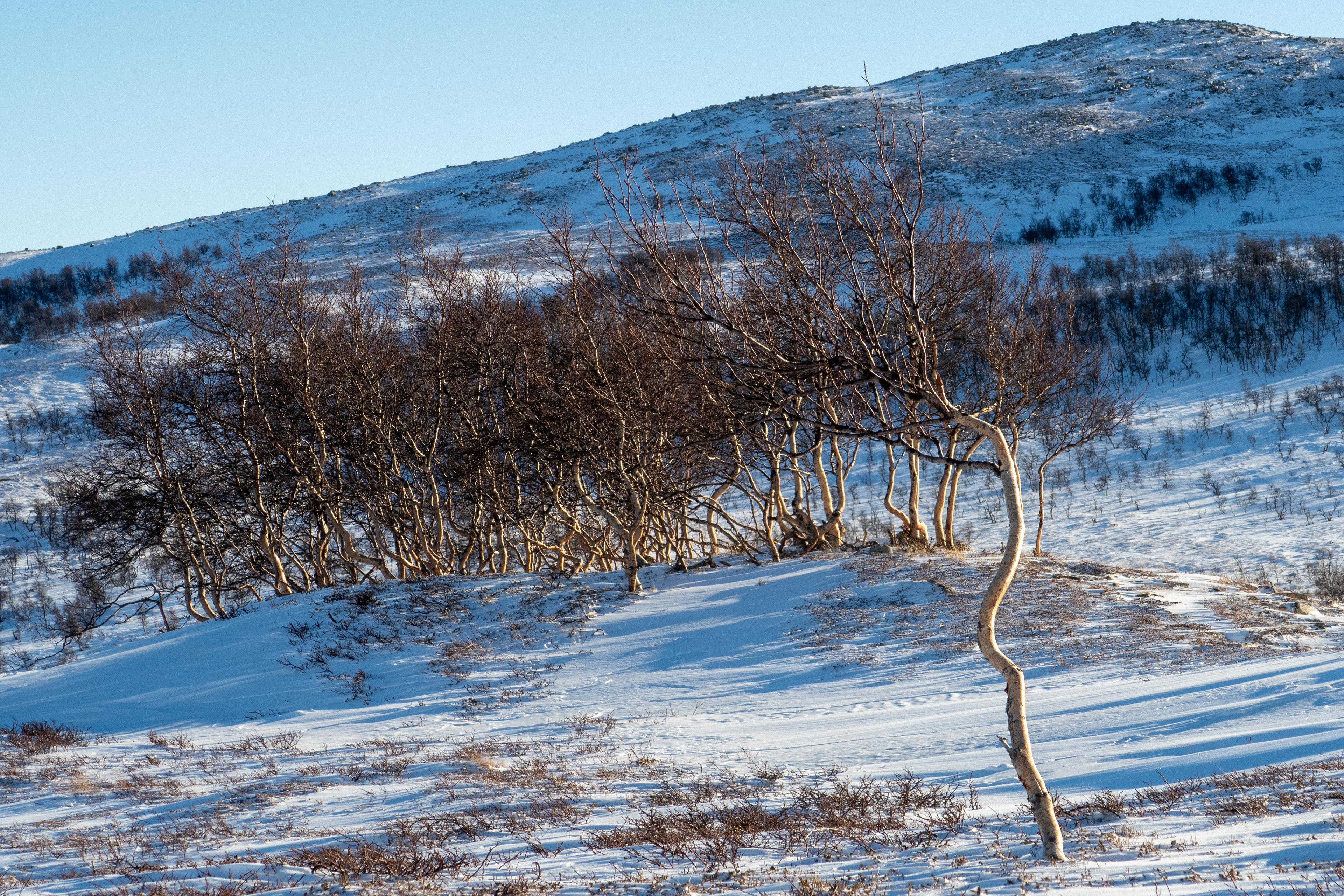 Grytdalen