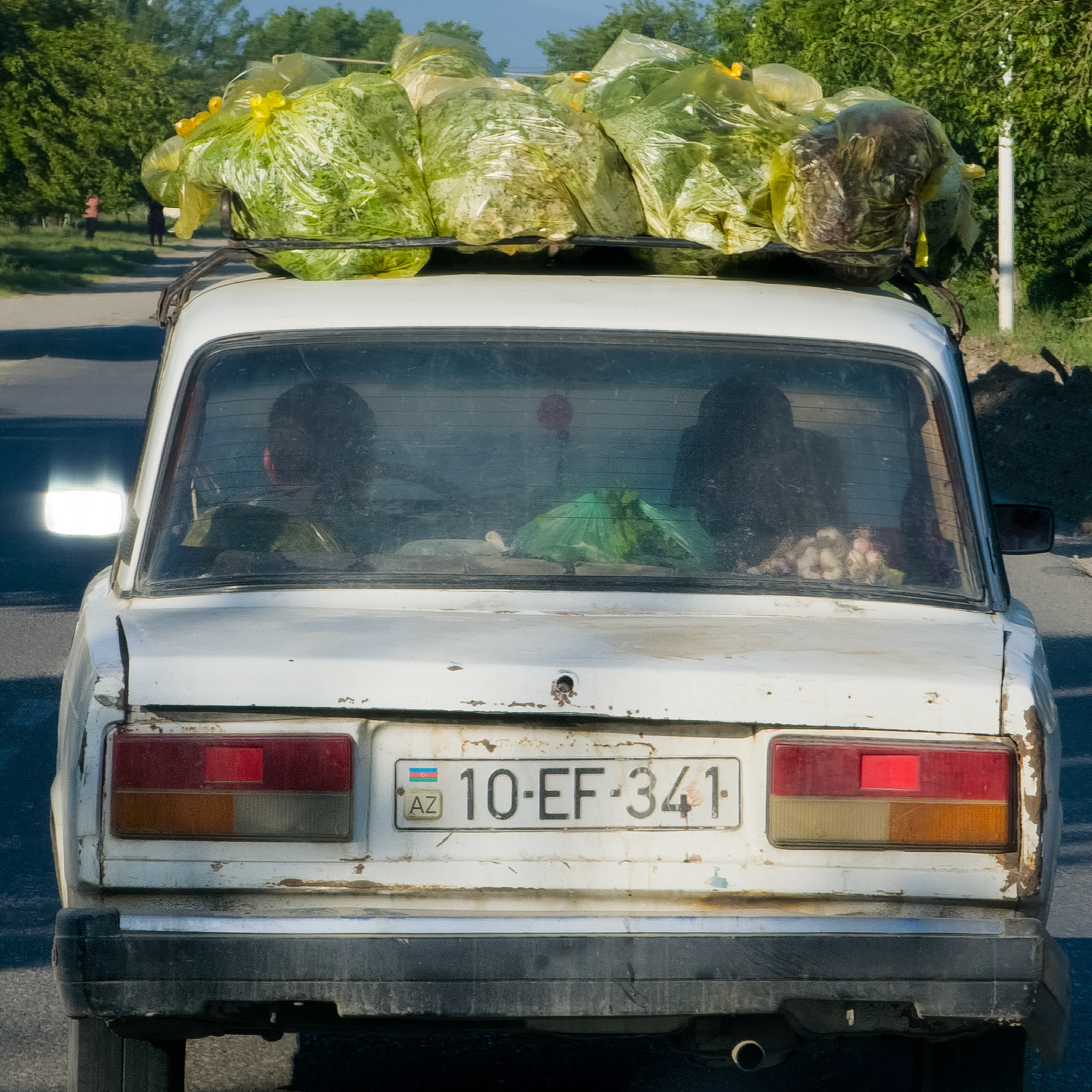 Lada med grønnsaker