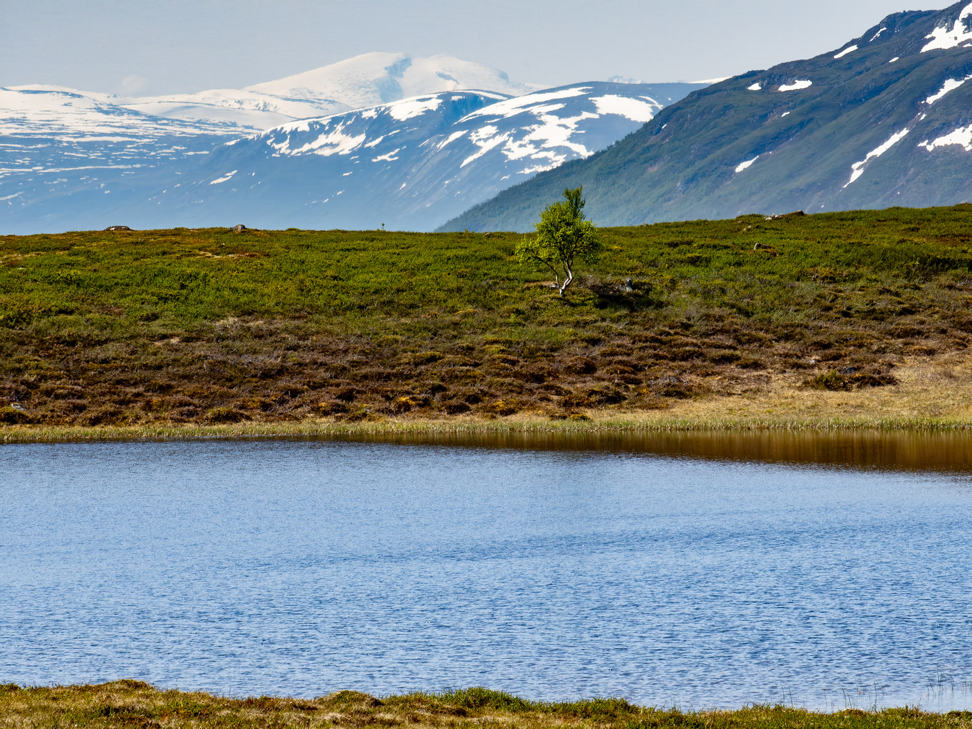 Dånnålitjønna og Snøhetta