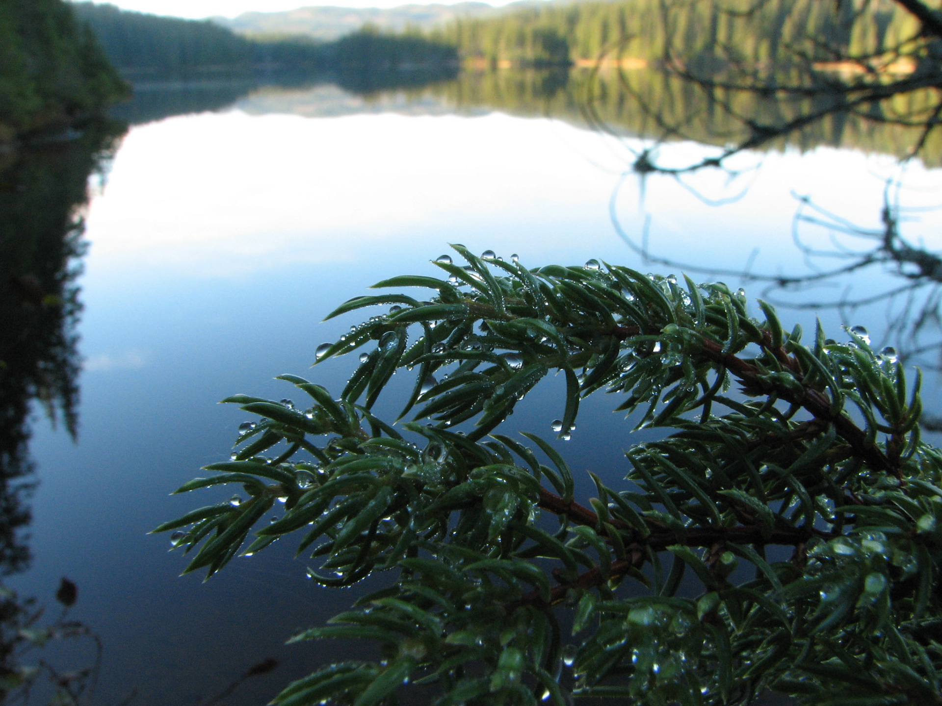 Einer ved Leirsjøen