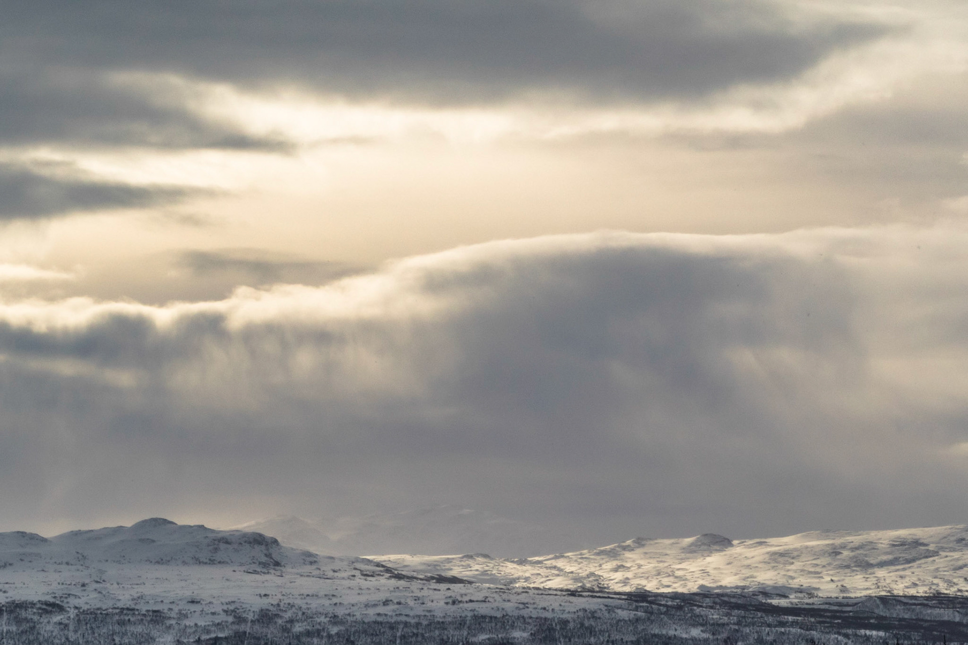 Stororkelhøa i Oppdal
