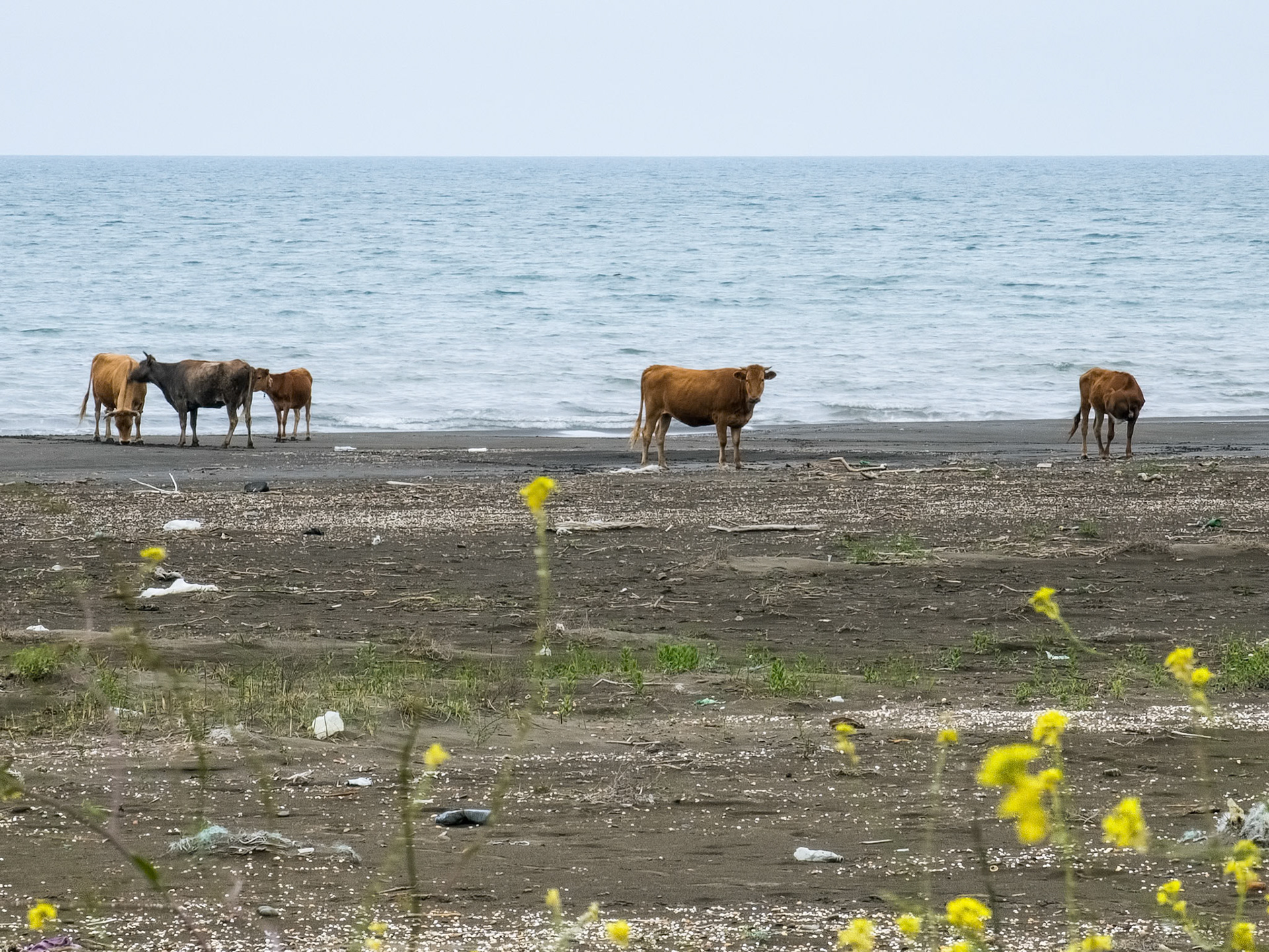 Azerbaijan - Kasoiske hav
