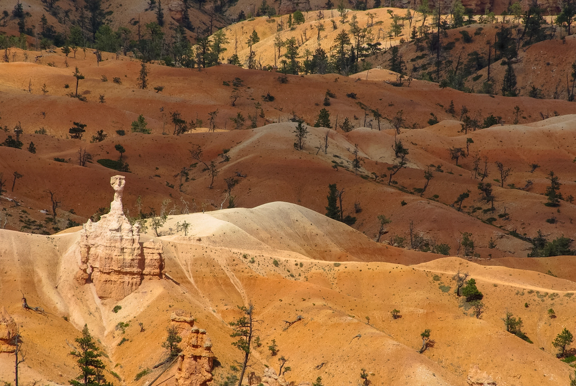 Bryce canyon
