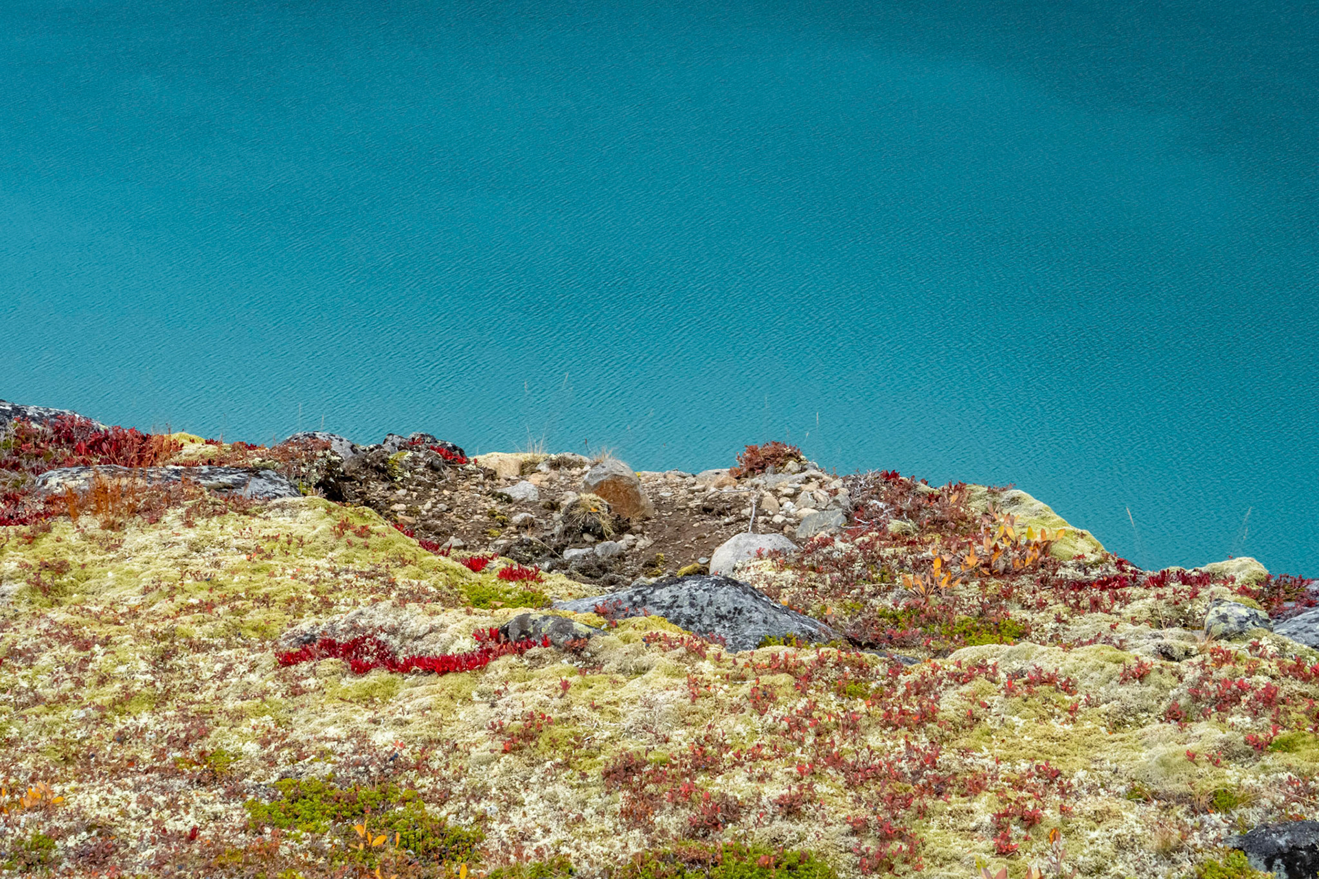 Gjende fra Knutshøe