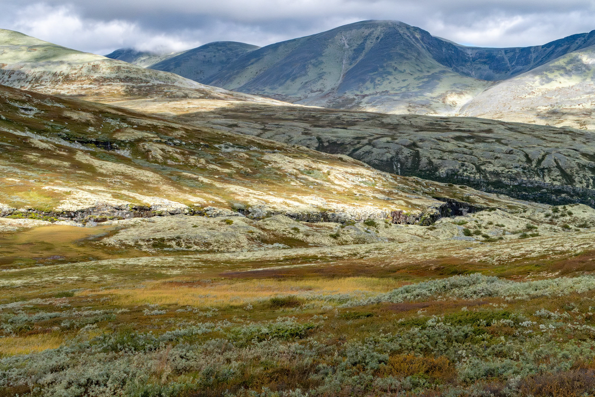 Rondane - Skjerdalen og Rondvasshøgde