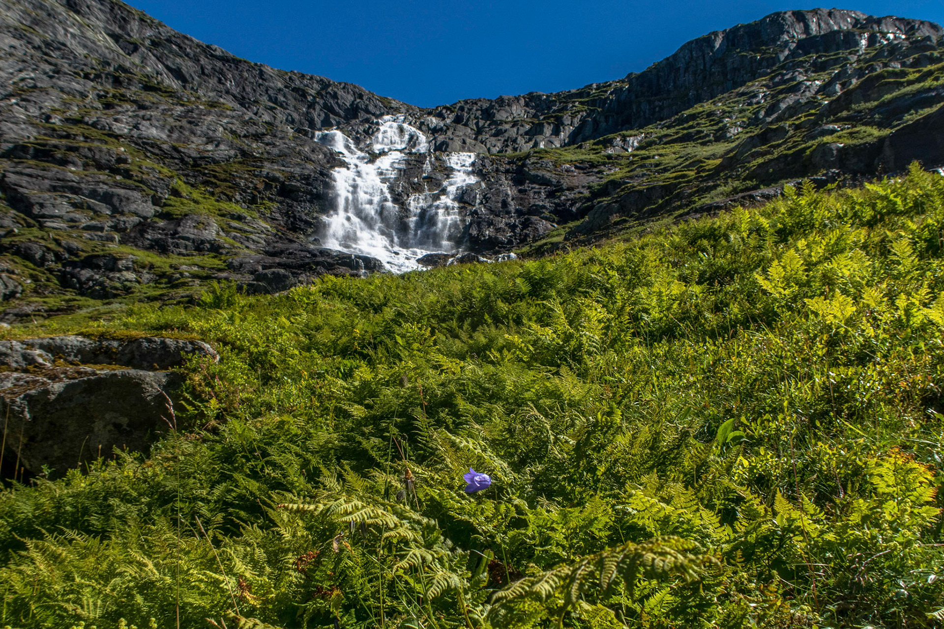 Øvredalen ved Eggjenibba