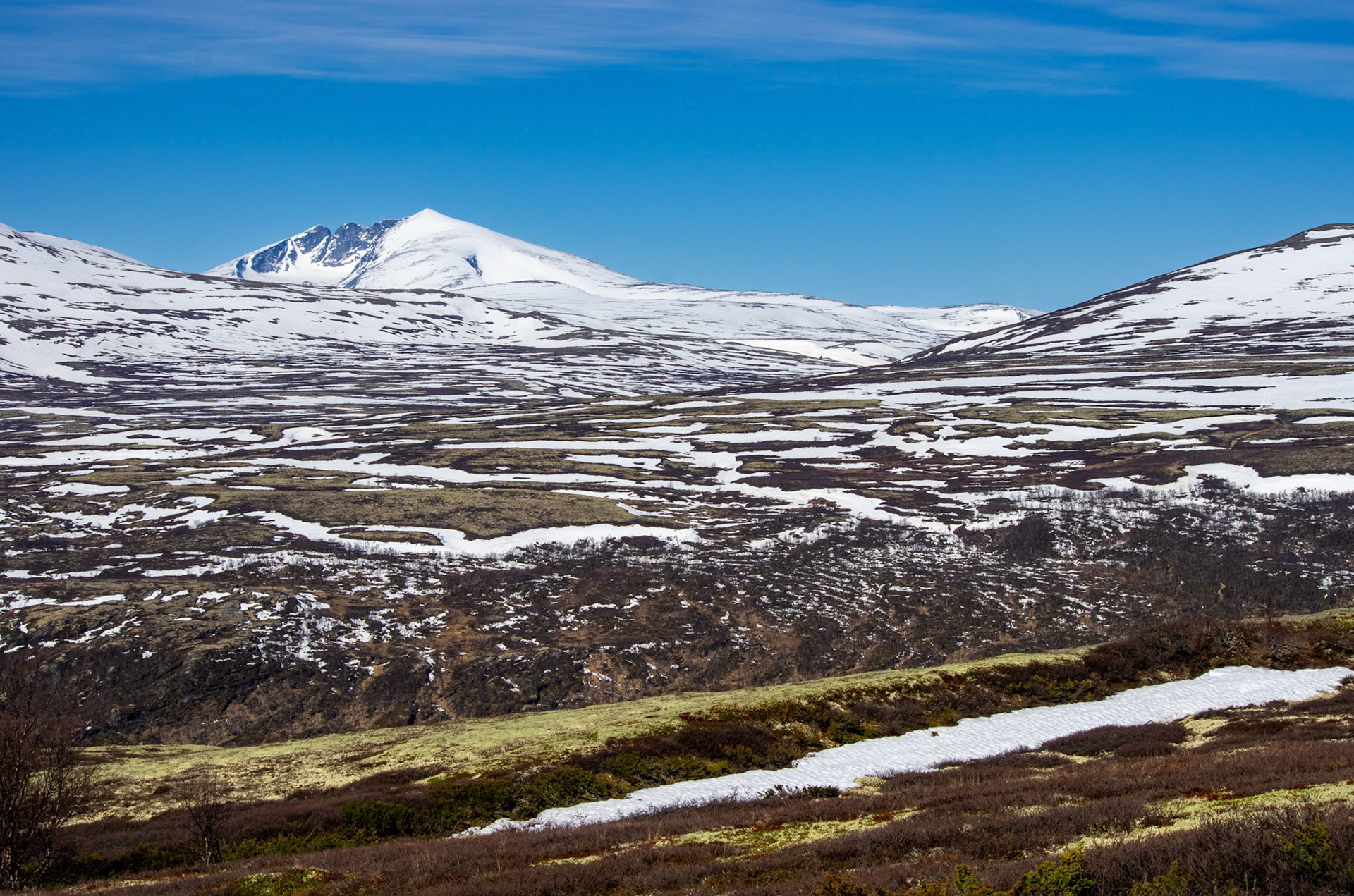 Snøhetta