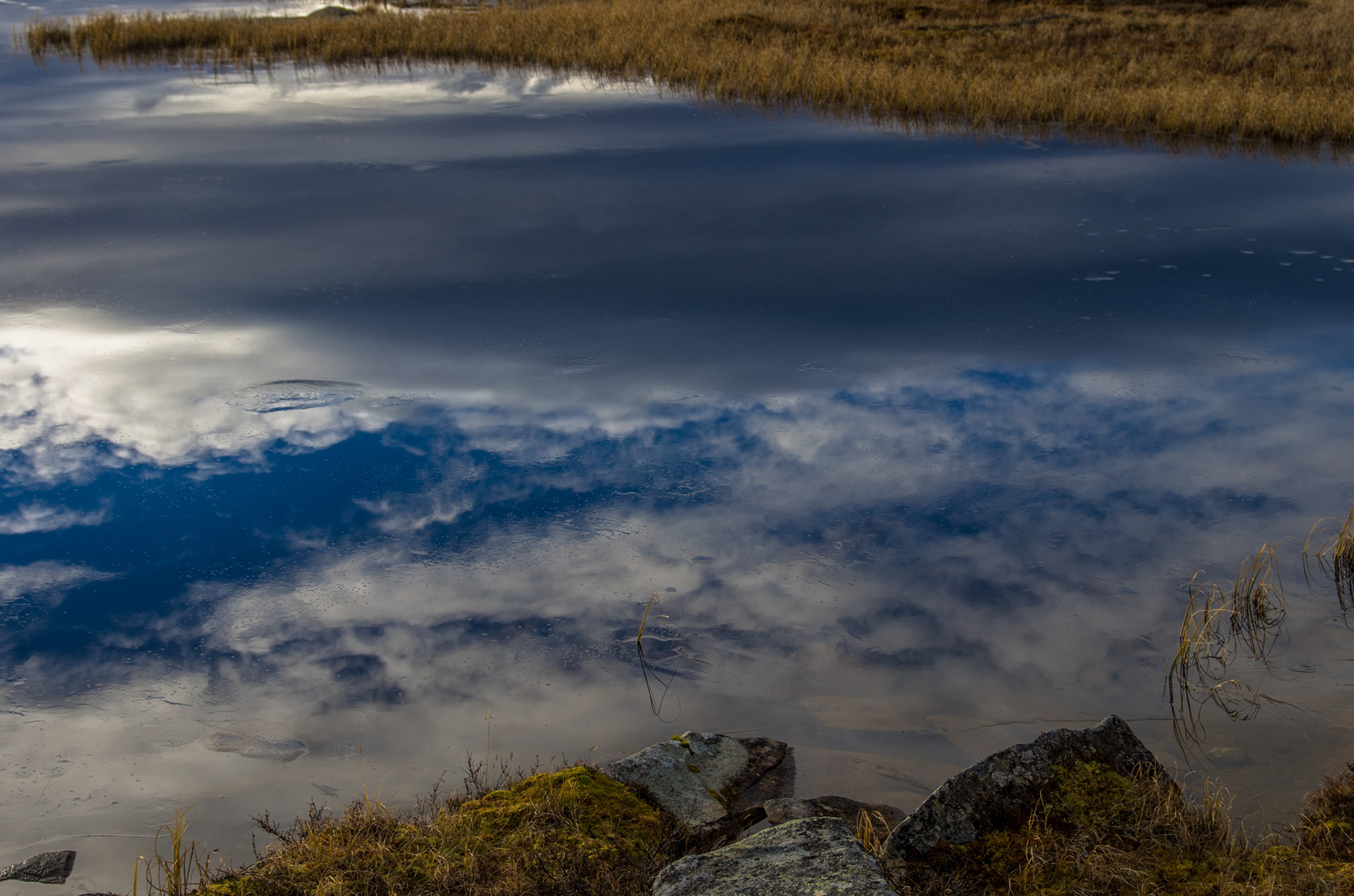 Kvernbekktjønna på Vora