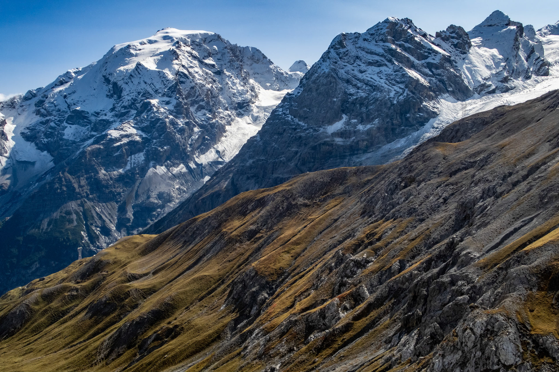 Ortles fra Stelviopasset