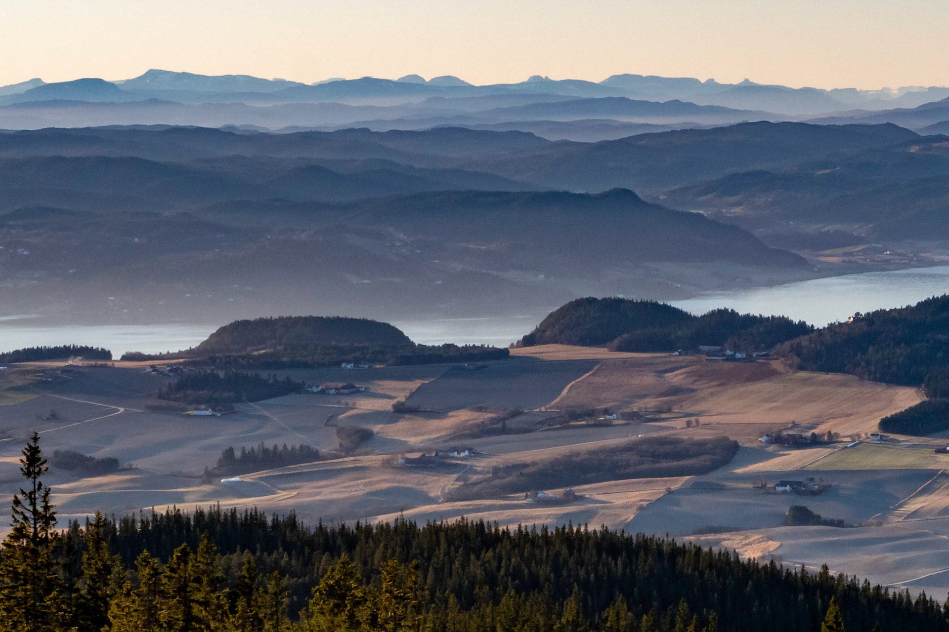 Byneset fra Bosbergheia