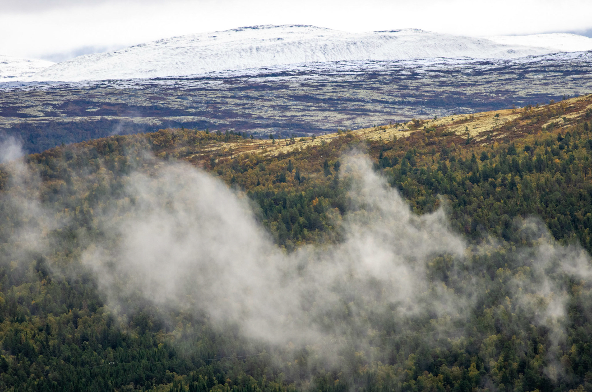 Mot Kviknefjella fra Vora i Oppdal