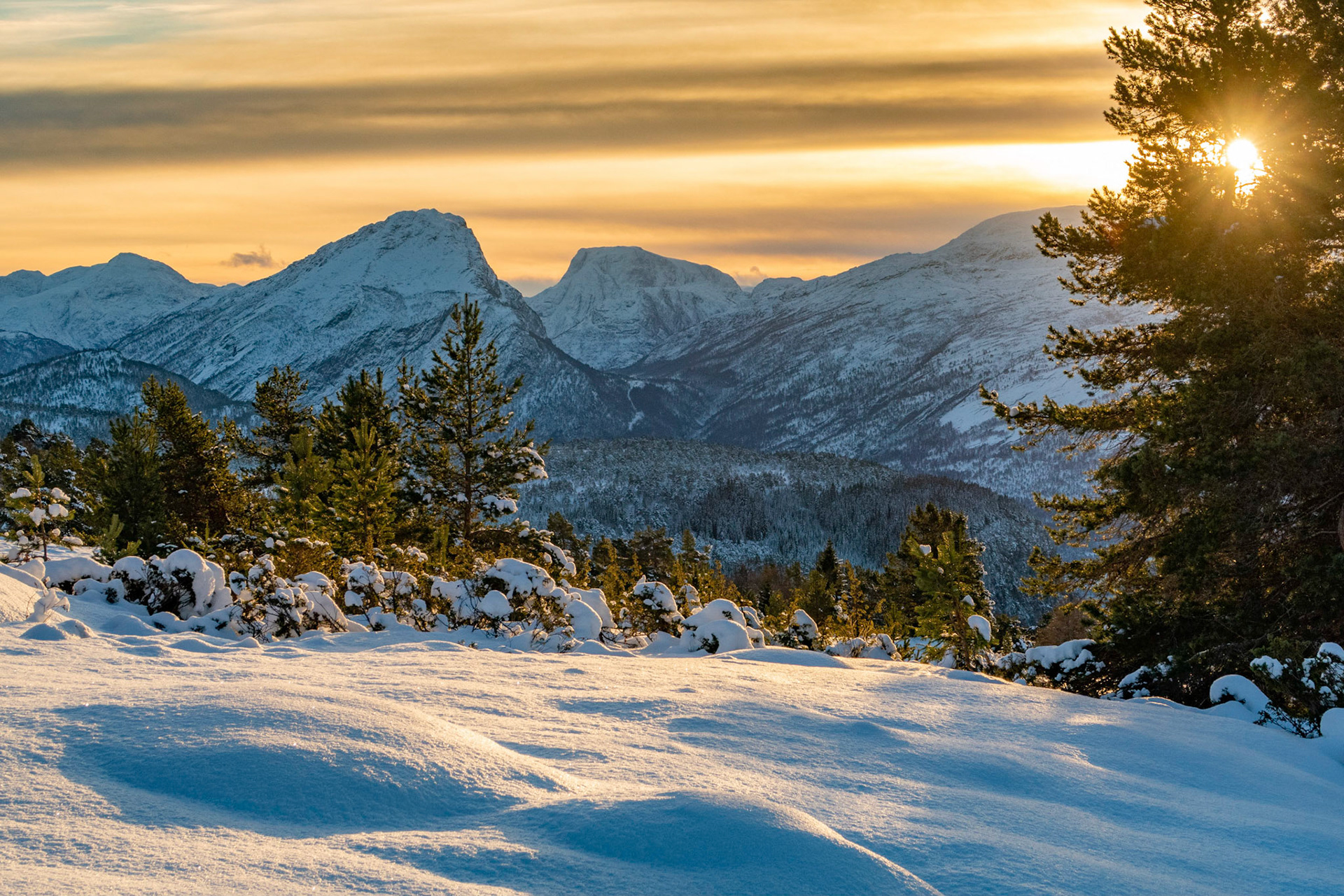 Ryssdalshornet og Botnafjellet