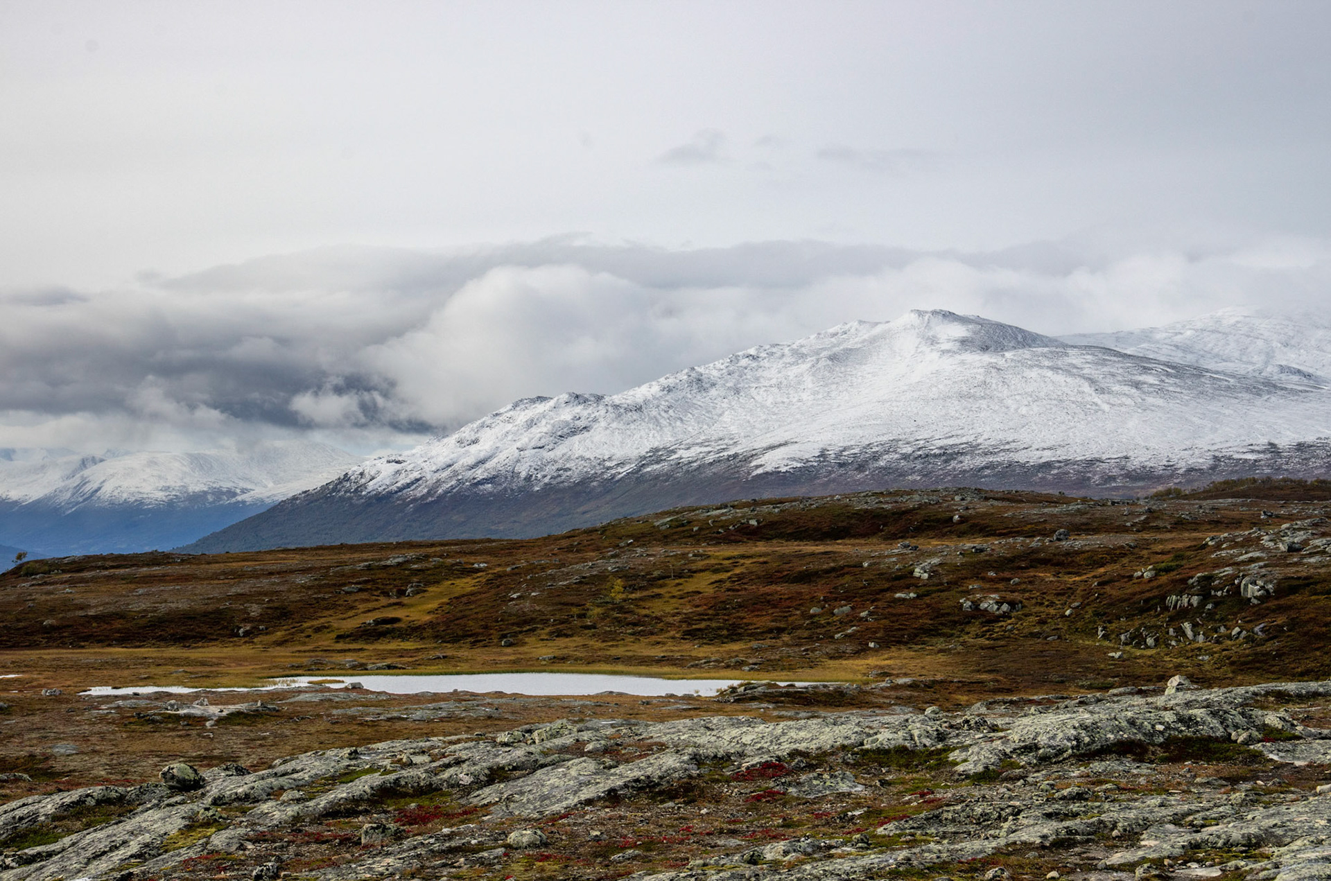 Kinnpiken fra Vora i Oppdal