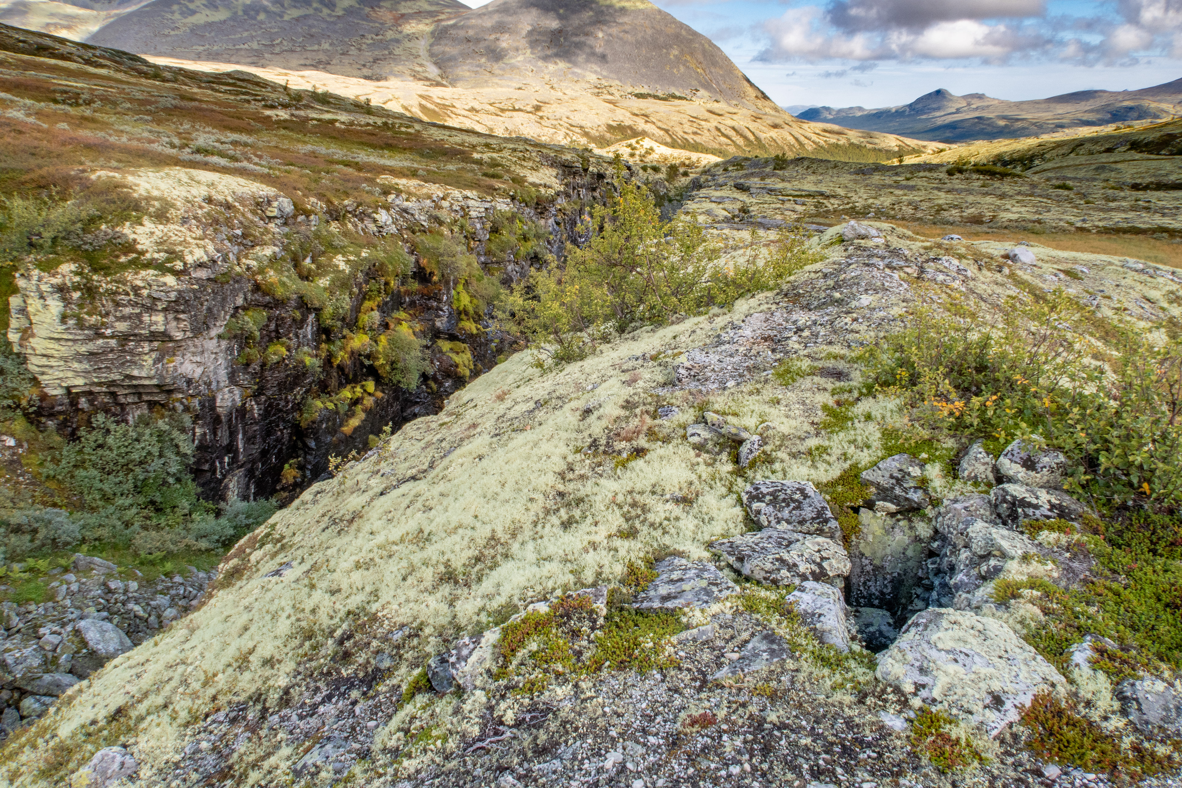 Skjerdalen. Gammel fangstgrav