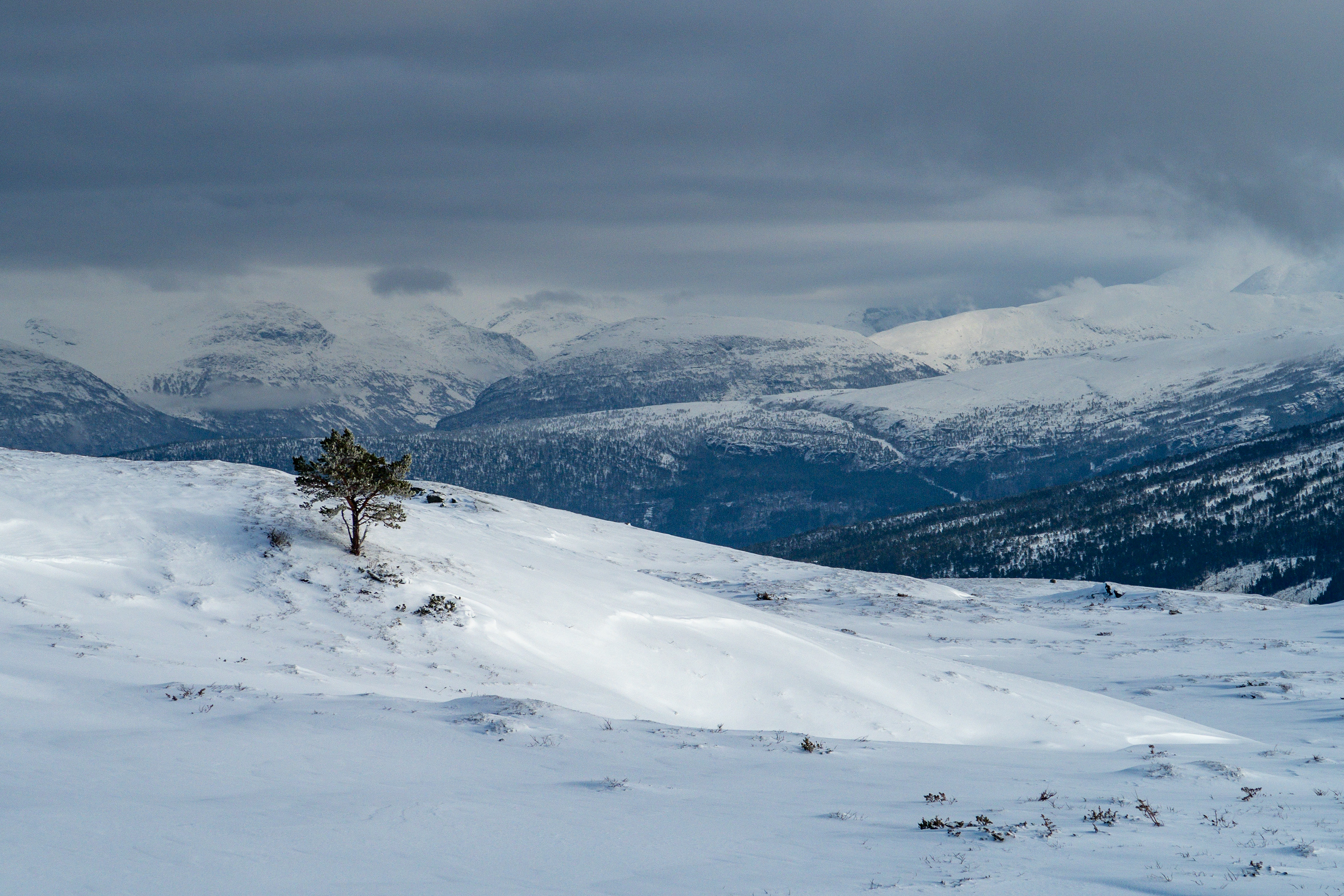 Utvikfjellet