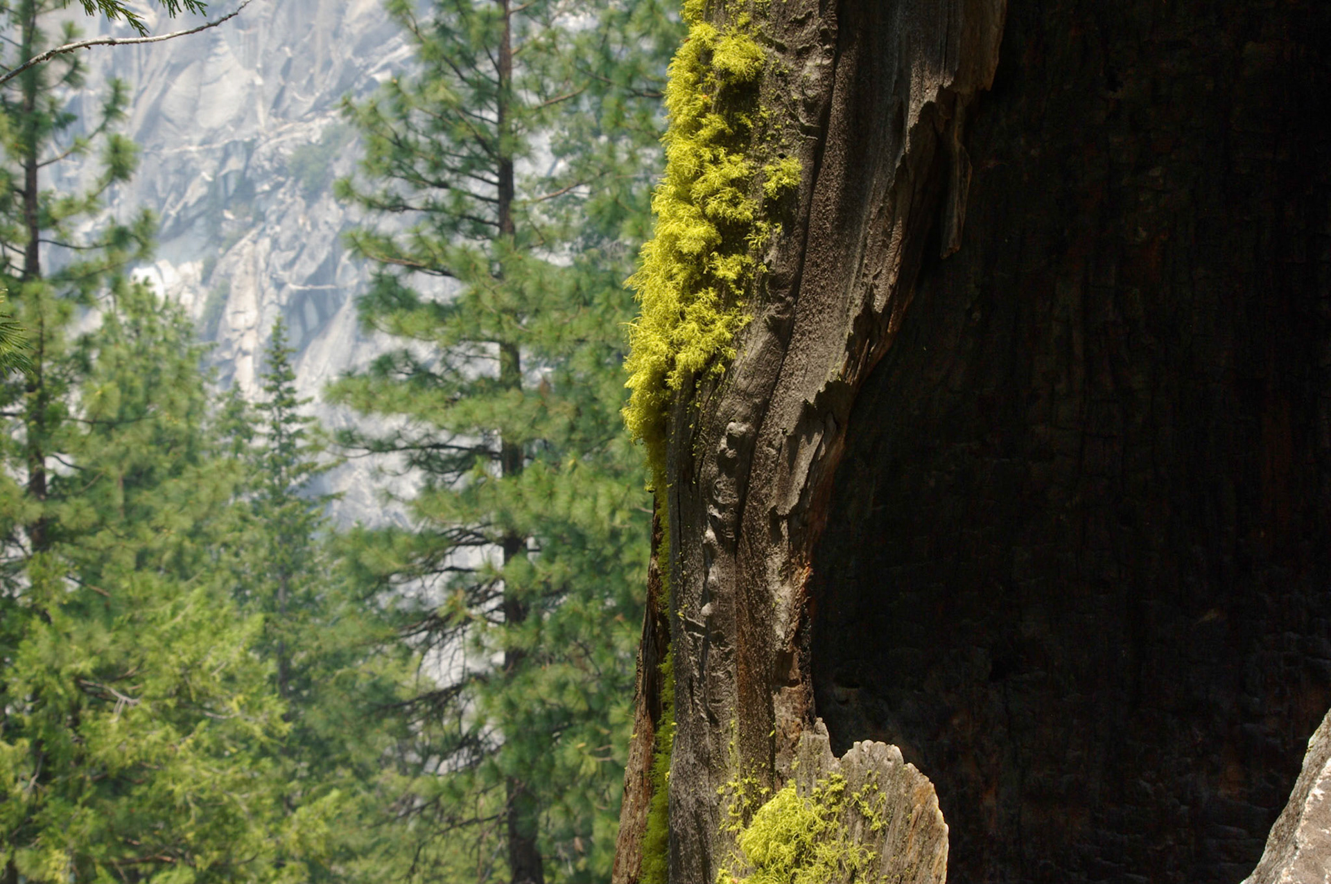 Yosemite