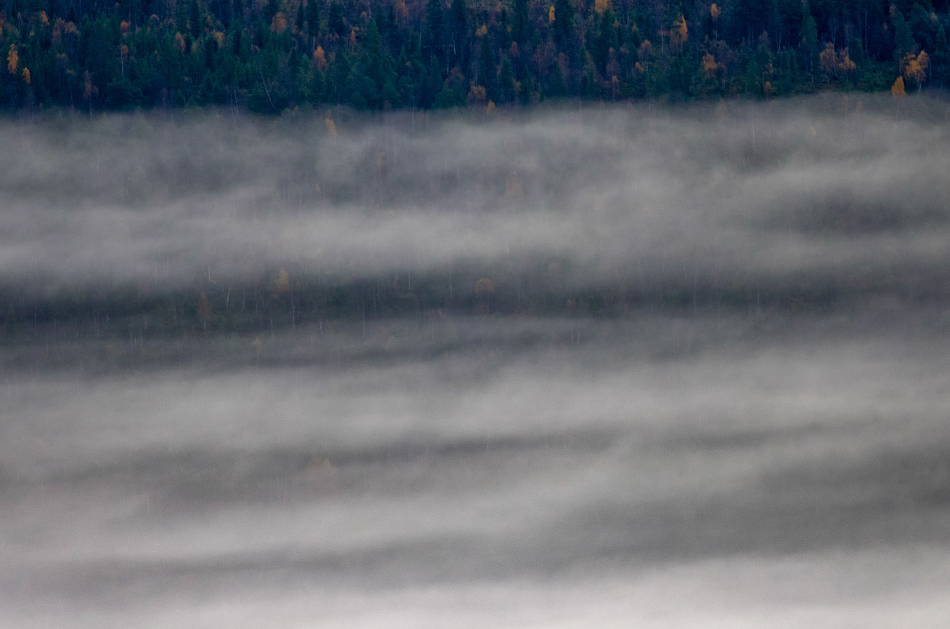 Ved Fagerhaug i Oppdal