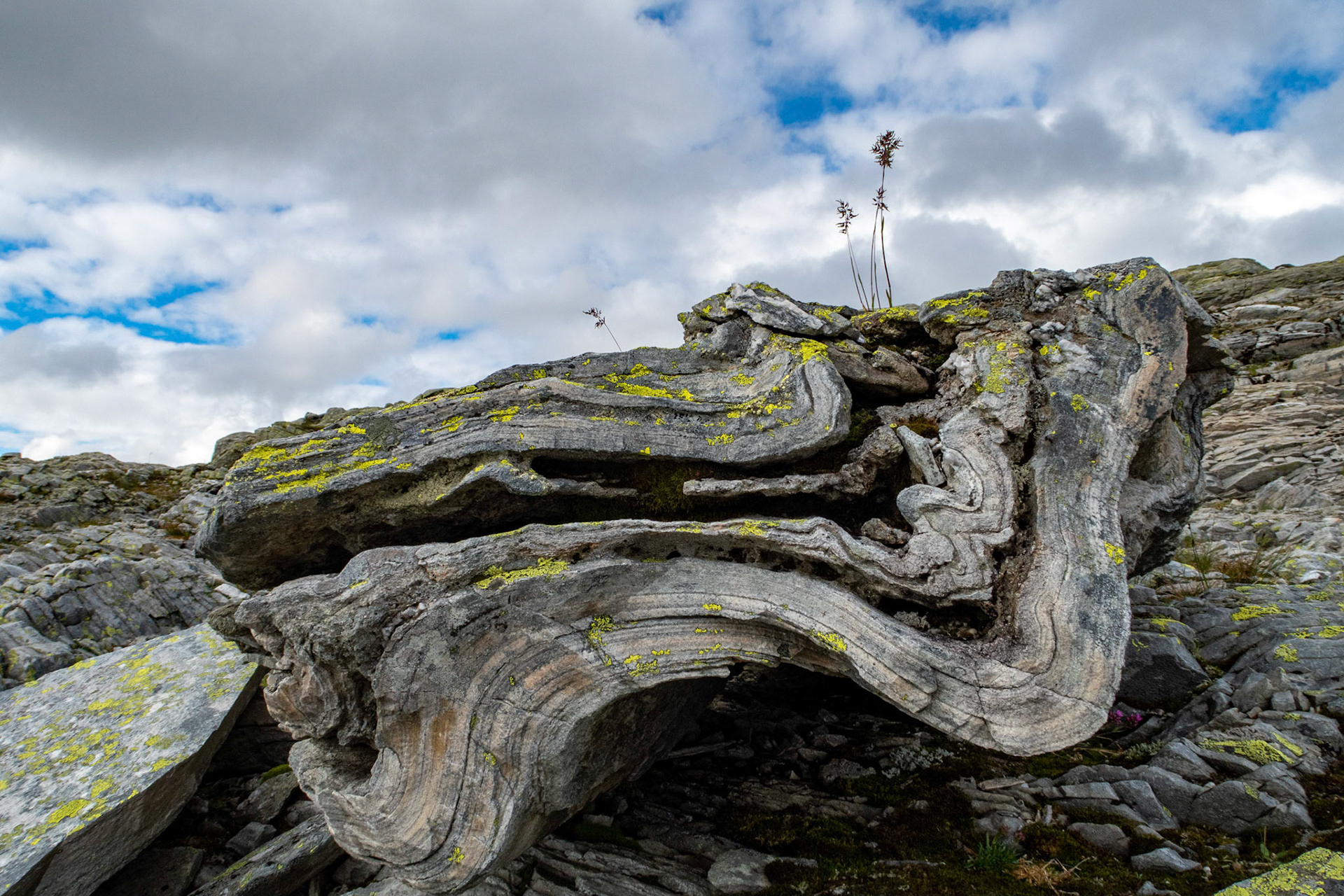 på Holsegga i Gloppen