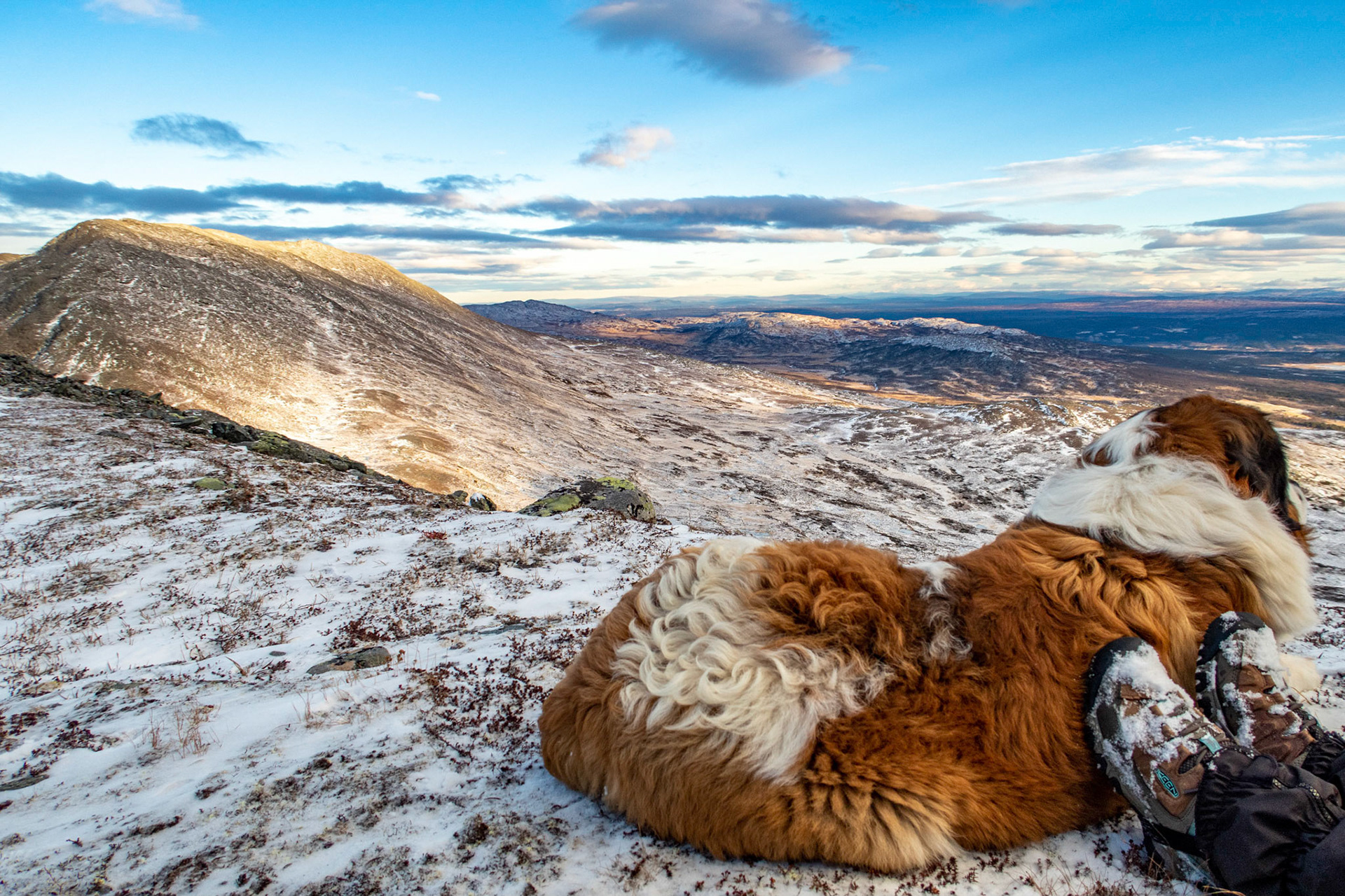 Bulder og Trollhytta