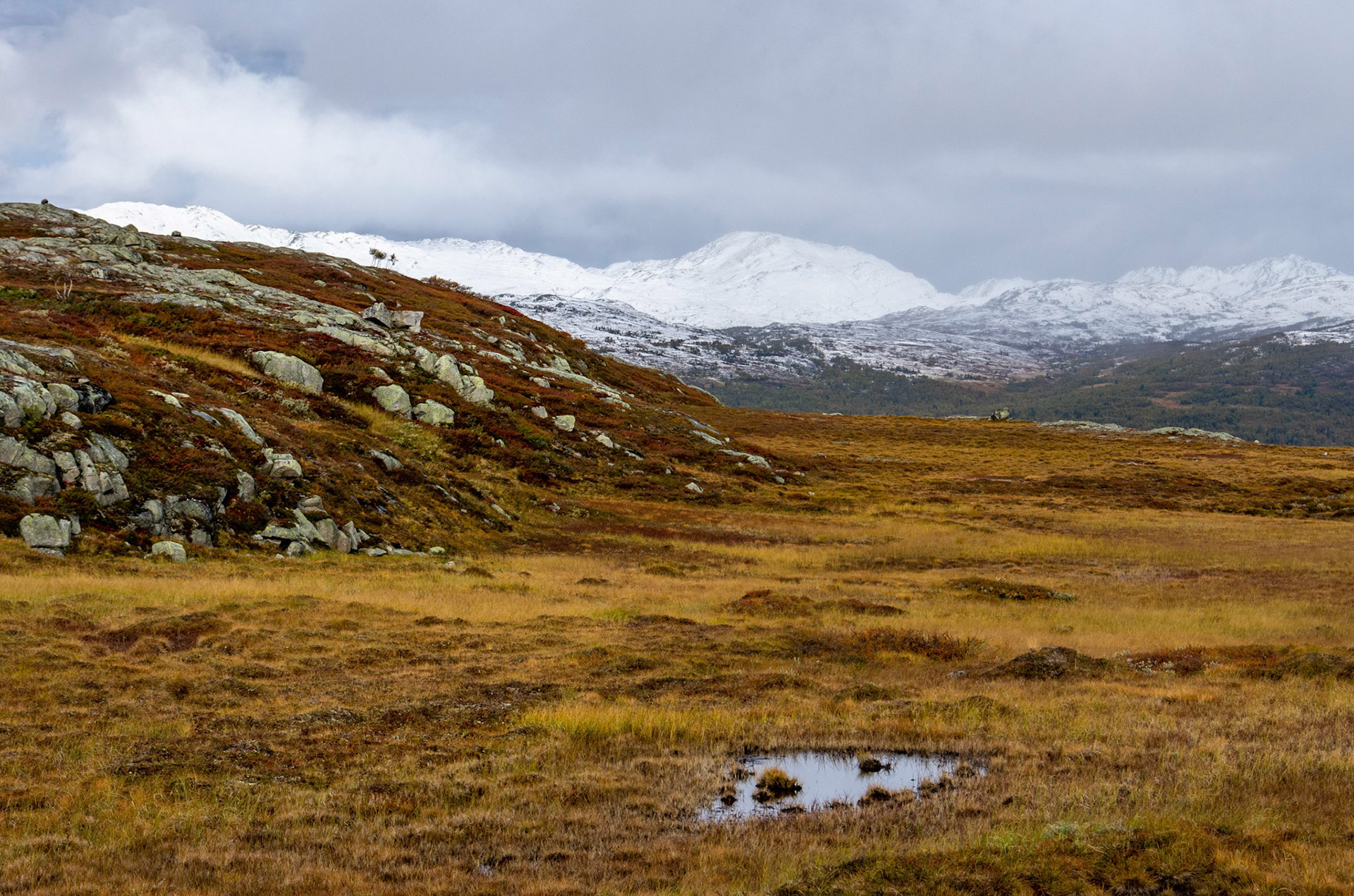 Digerhøa fra Vora i Oppdal