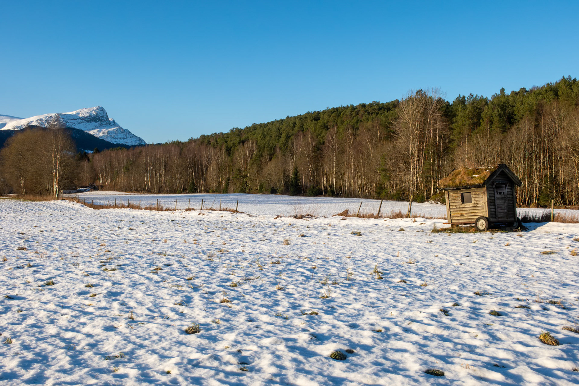 Andenes med Hyeneshesten