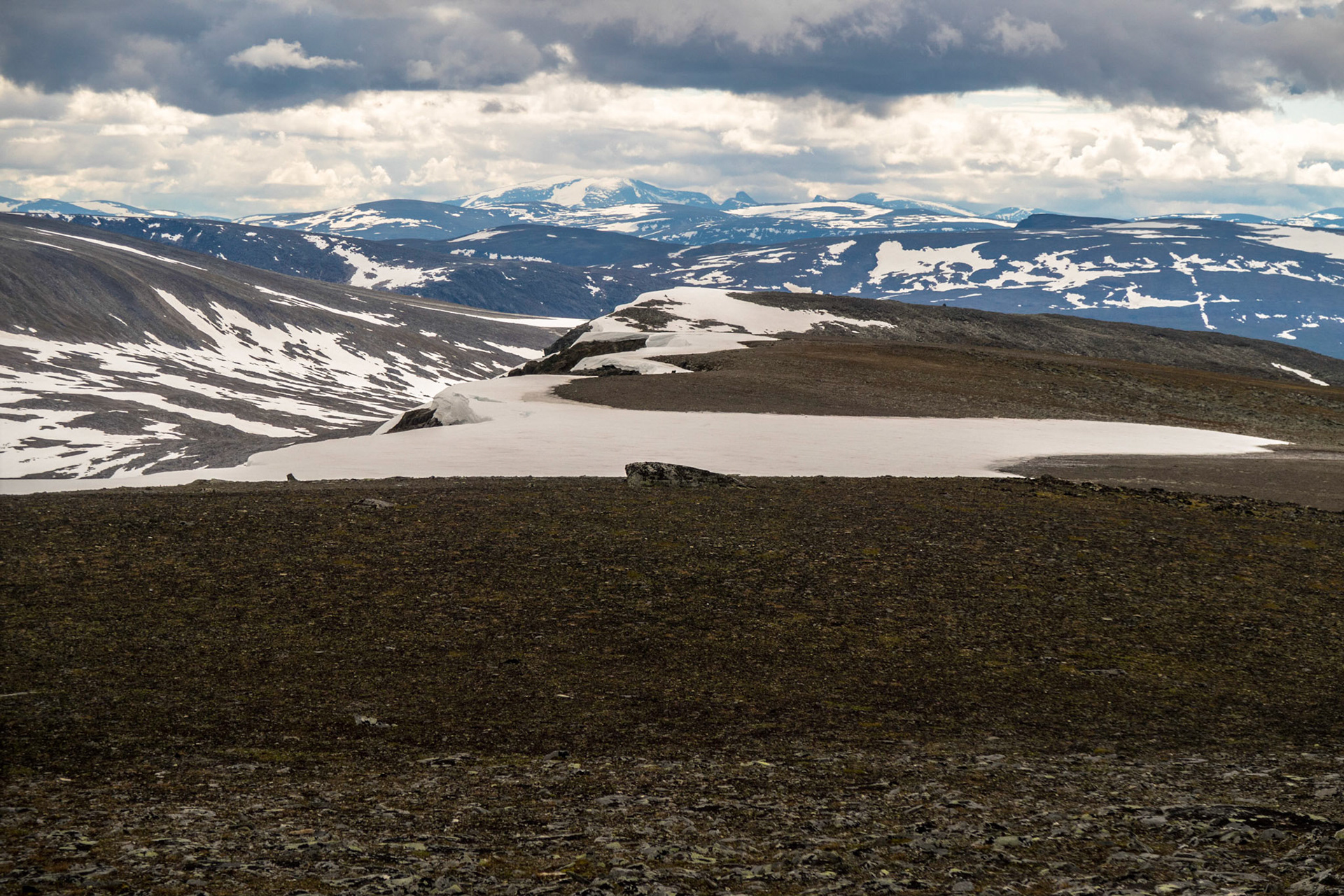 Fra Storlifjellet i august