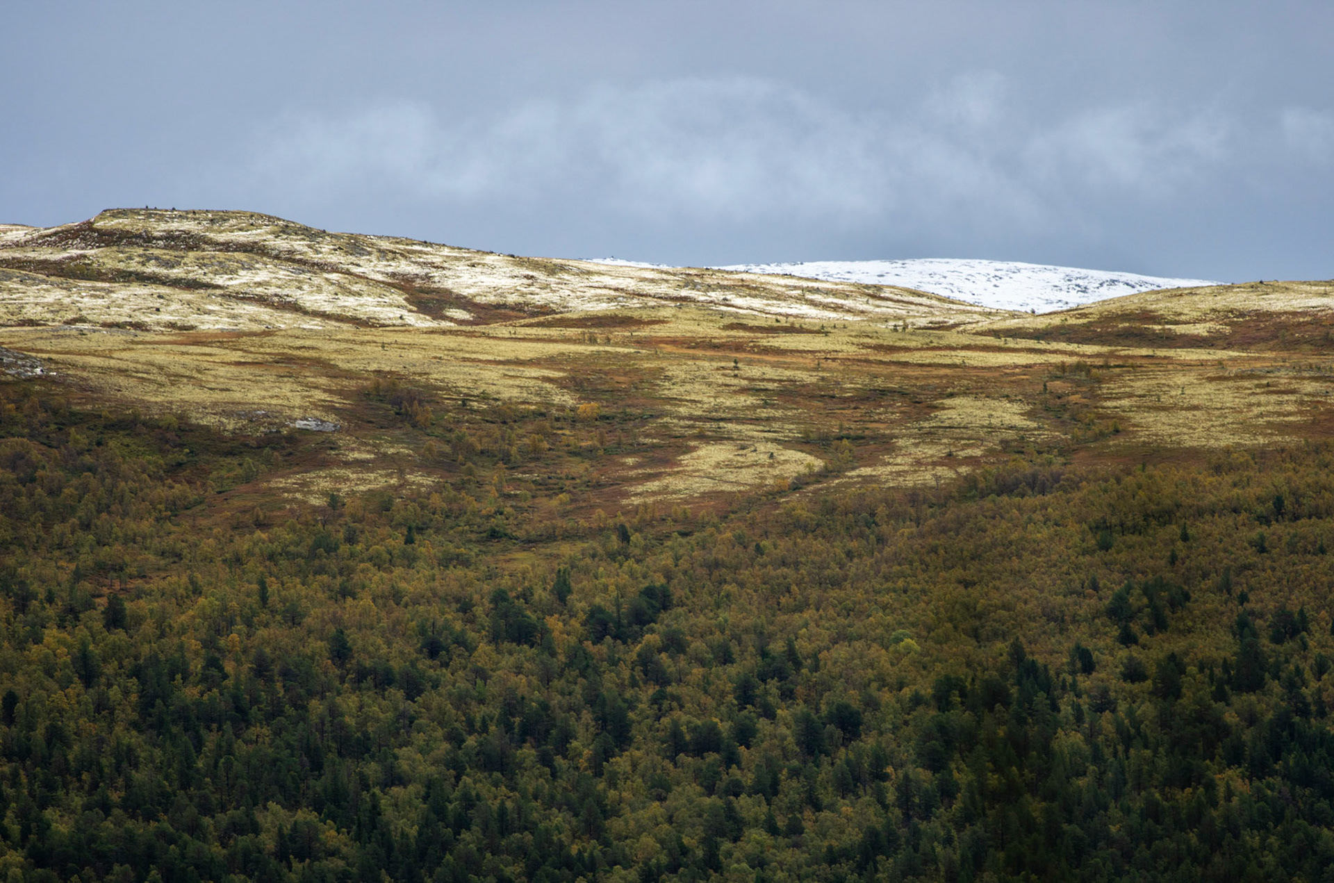 Mot Veslnøsen fra Vora i Oppdal
