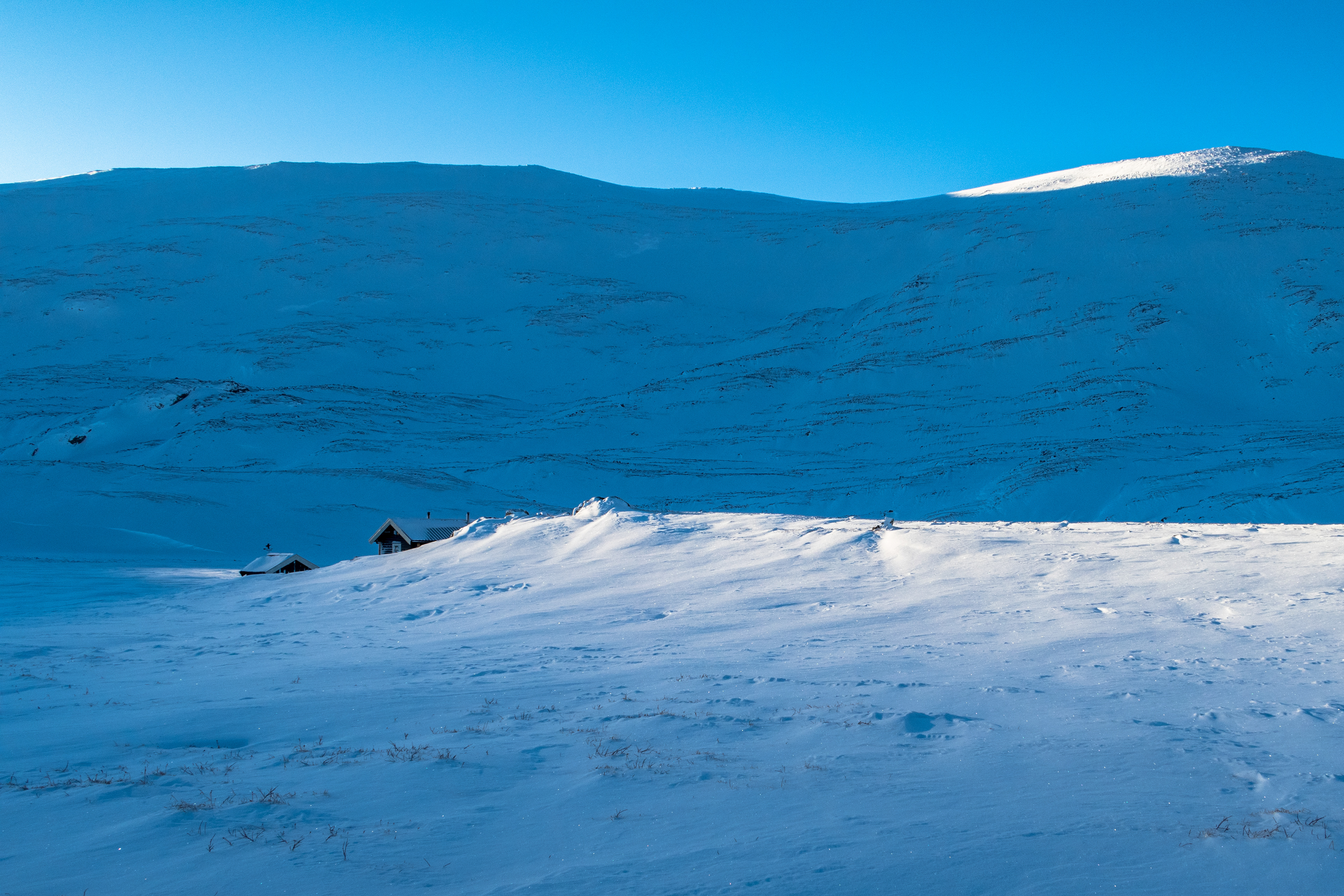 Stavsjøen i vinterlys