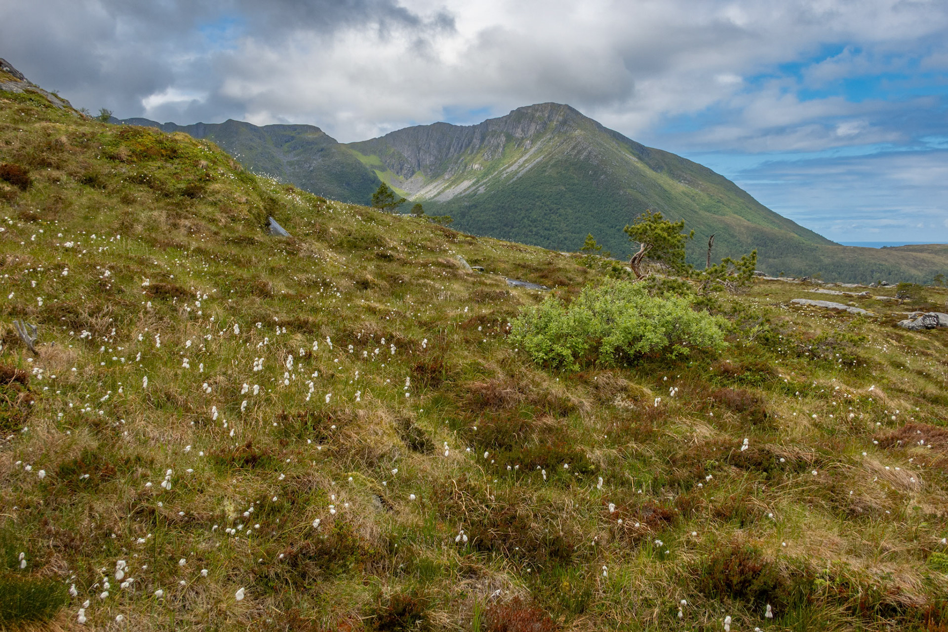 Storlitinden