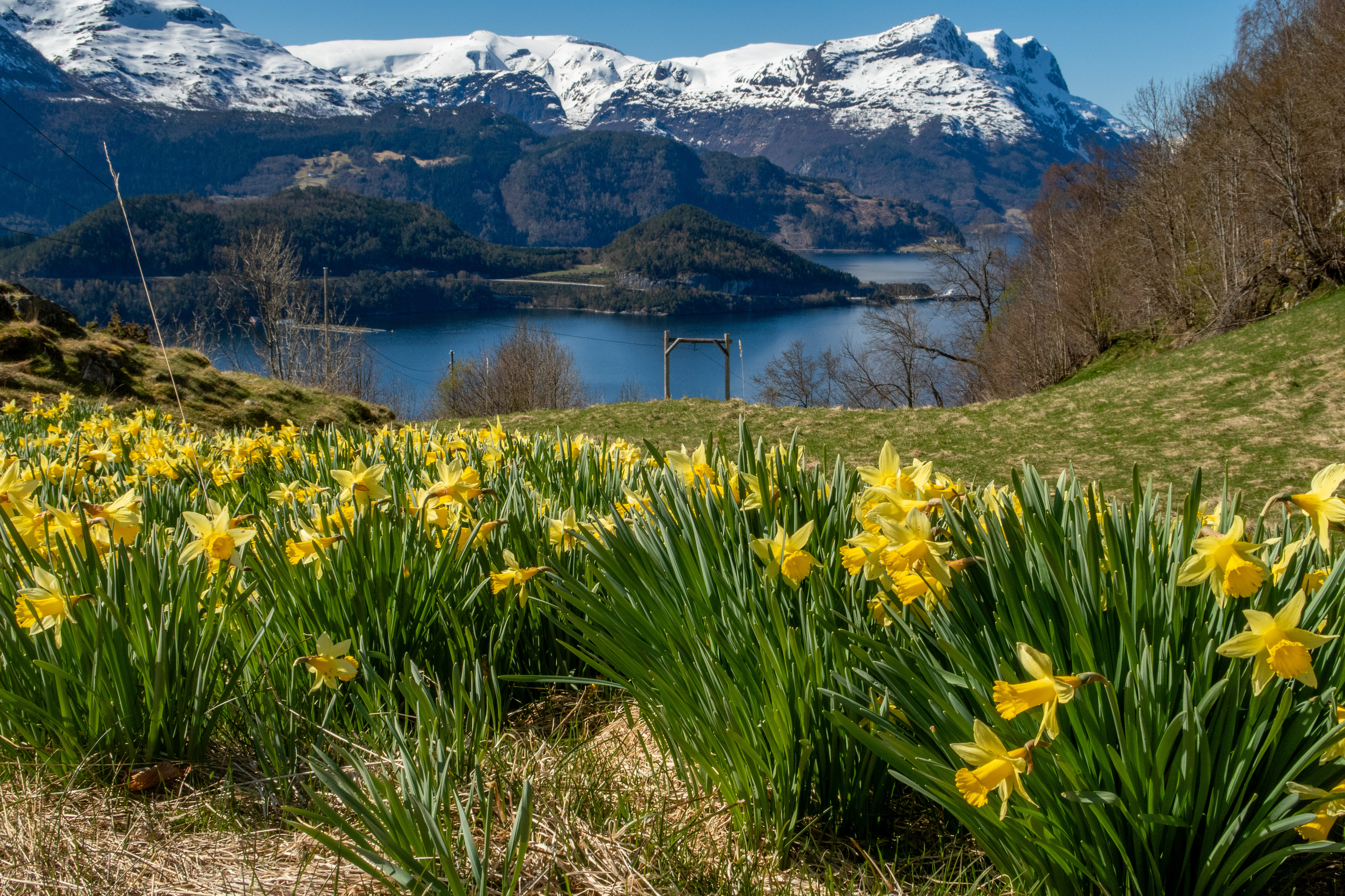 Fra Åsane mot Skjerdingane