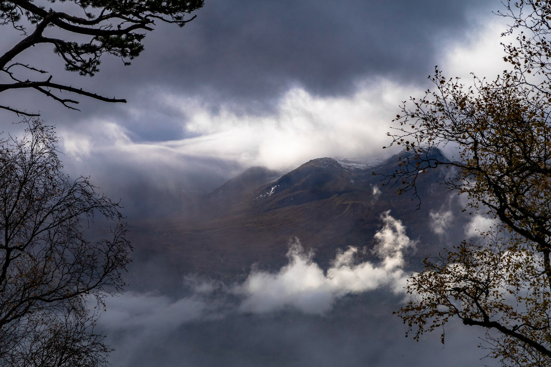 Breidalen og Svineryggen