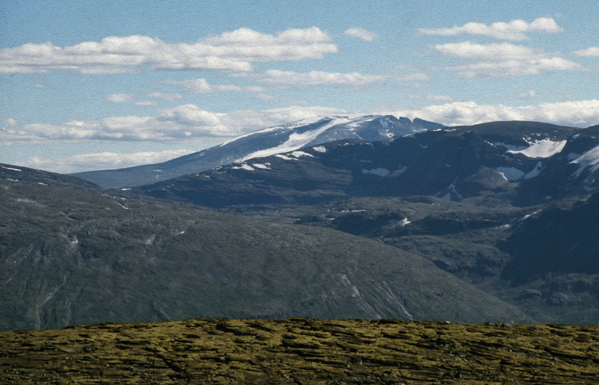 Fra Mardølhø i august