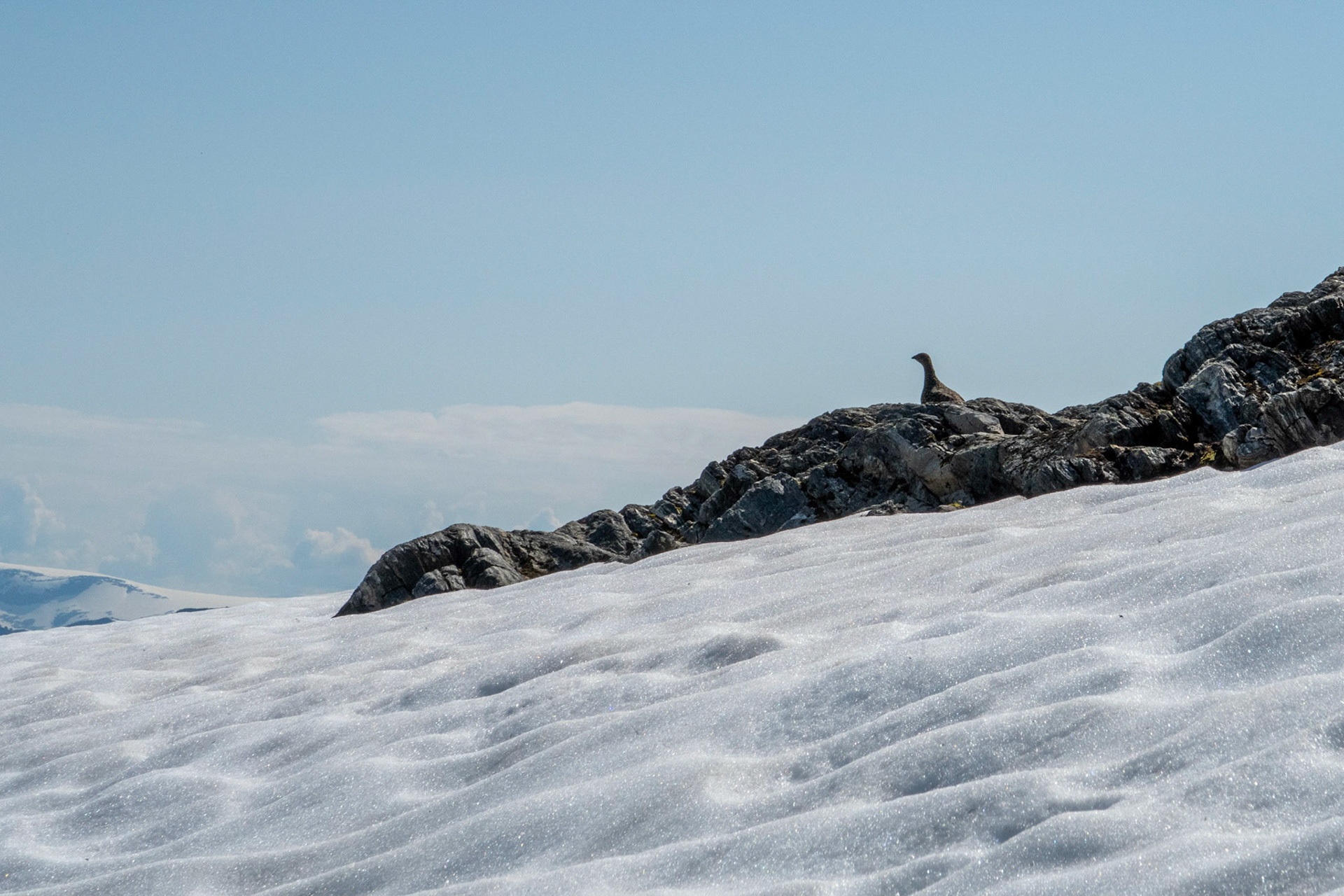 På Storevarden i Gloppen