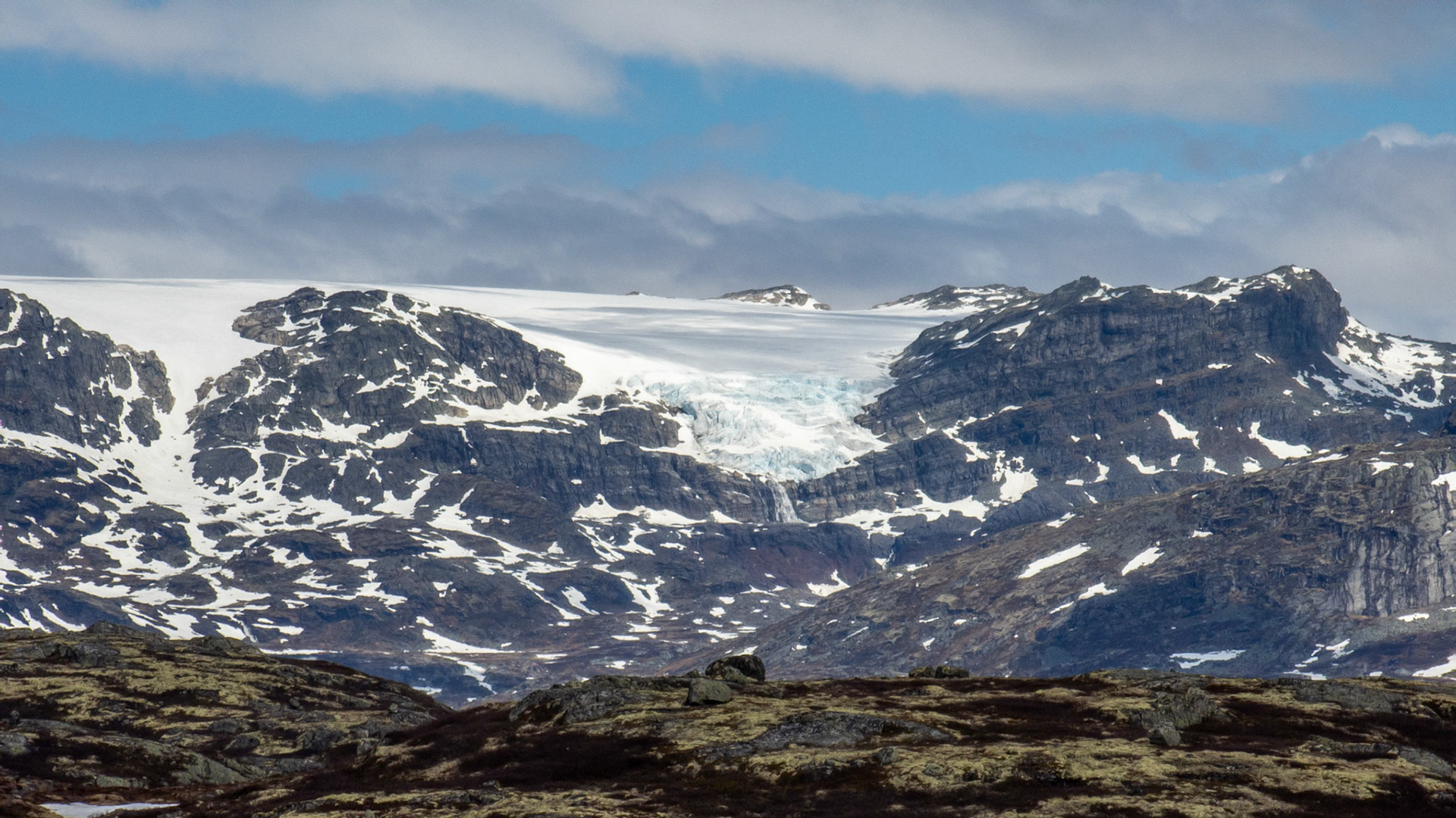 Hardangerjøkulen