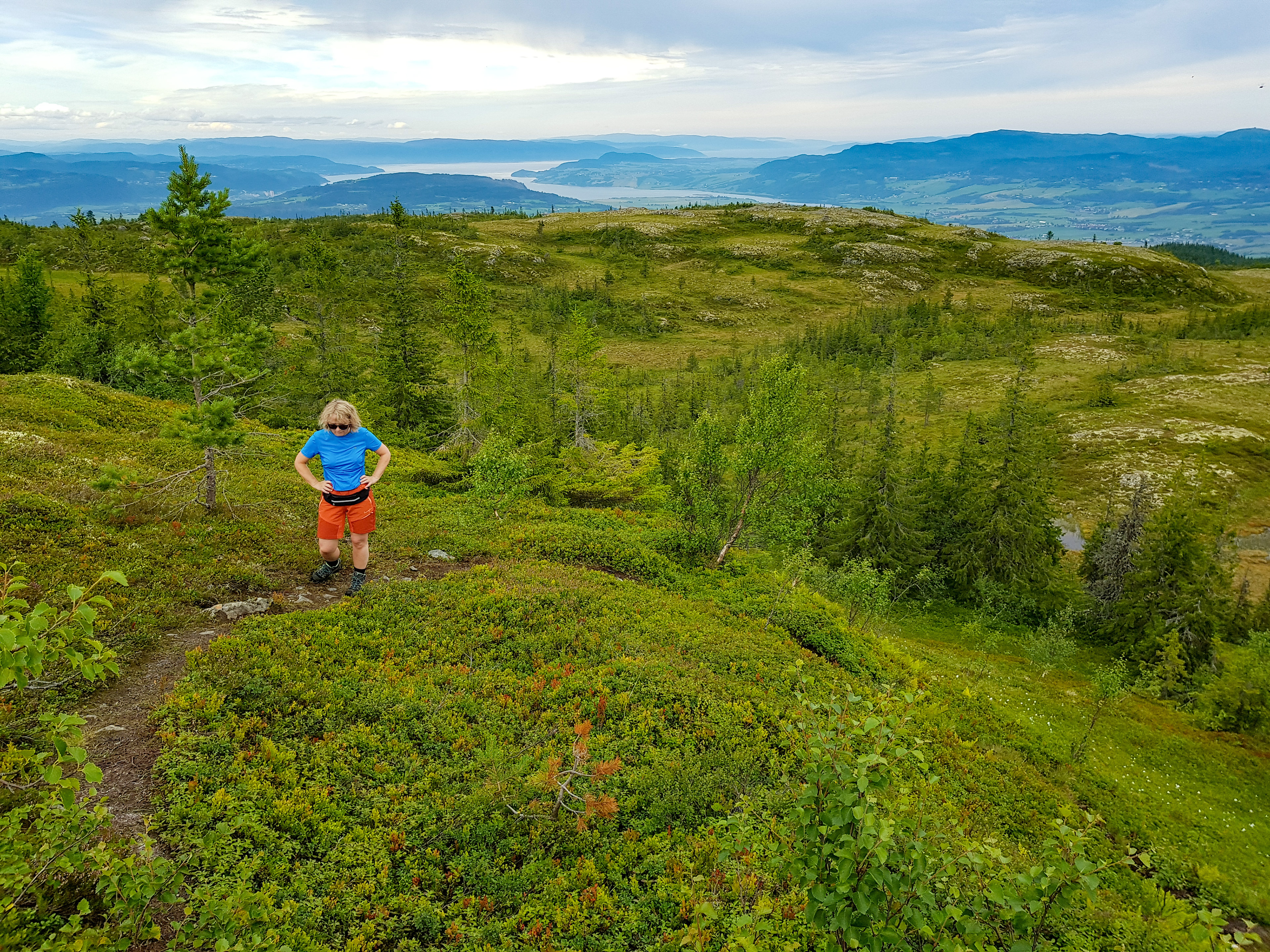 Vassfjellet