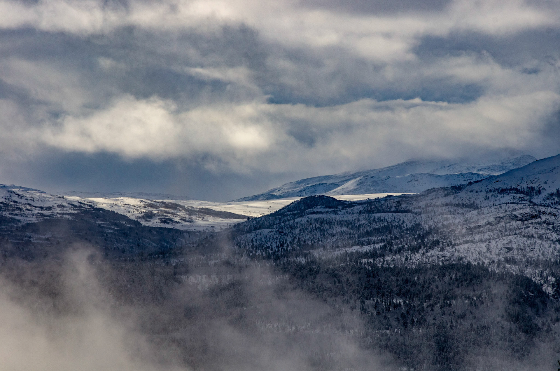 Stororkelhøa i Oppdal