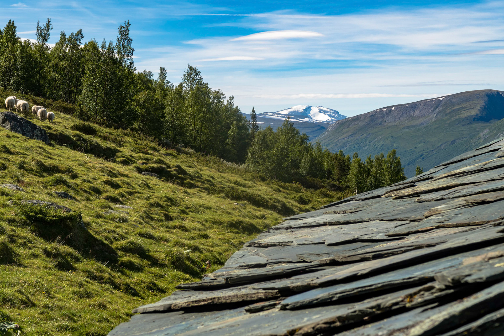 Hevlessætra i Oppdal