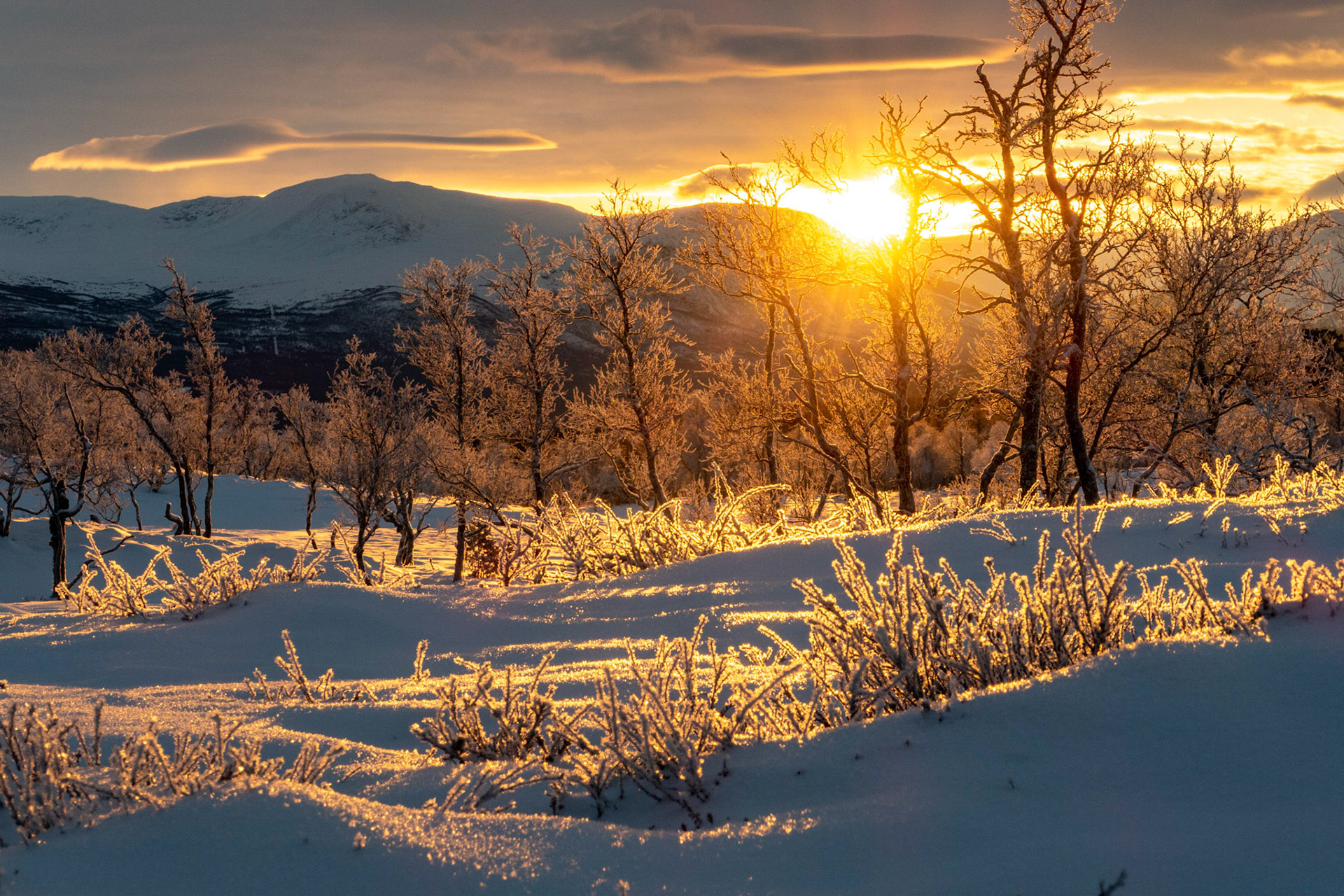 Grytdalsskaret i Oppdal