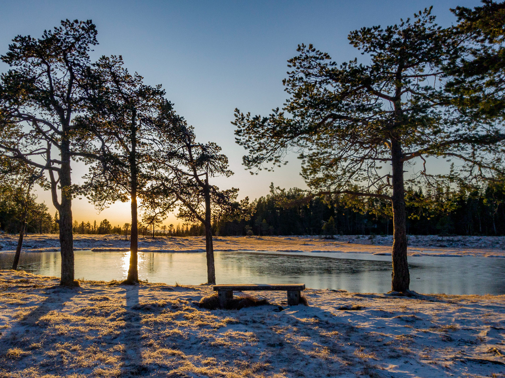 Lomtjønna i Estenstadmarka i Trondheim